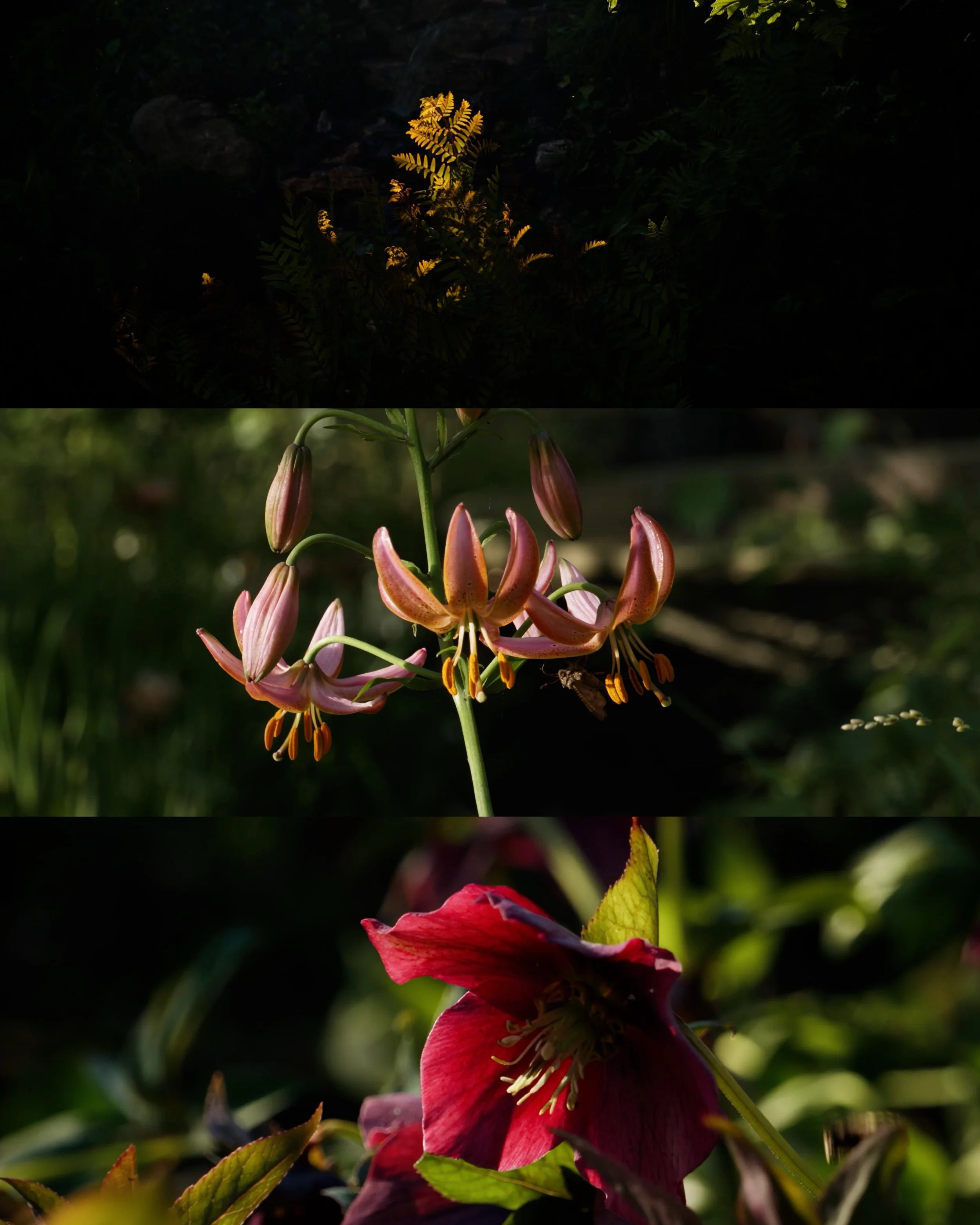 B8A71876-FCE5-434D-946F-B54D635CF472.JPEG