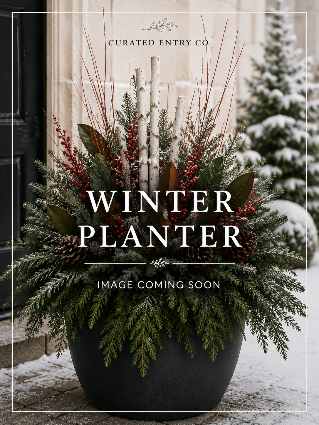 Winter Planter Design & Installation