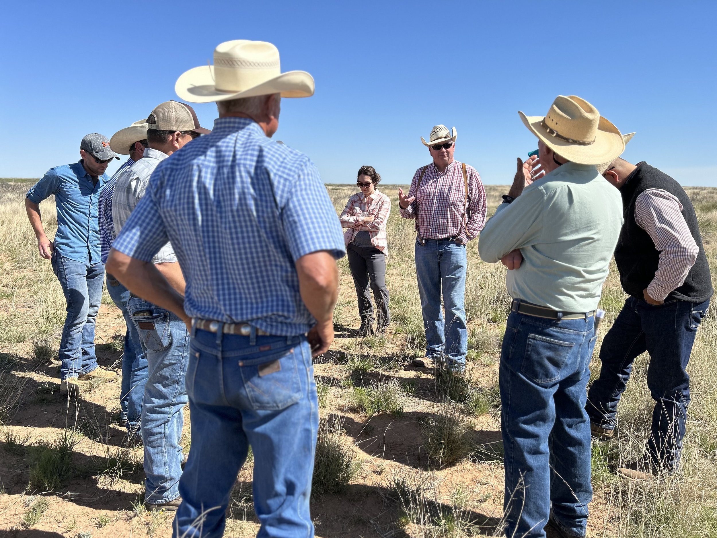 A group of people wearing cowboy hats and casual clothing standing outdoors in a field under a clear blue sky, engaged in a discussion.