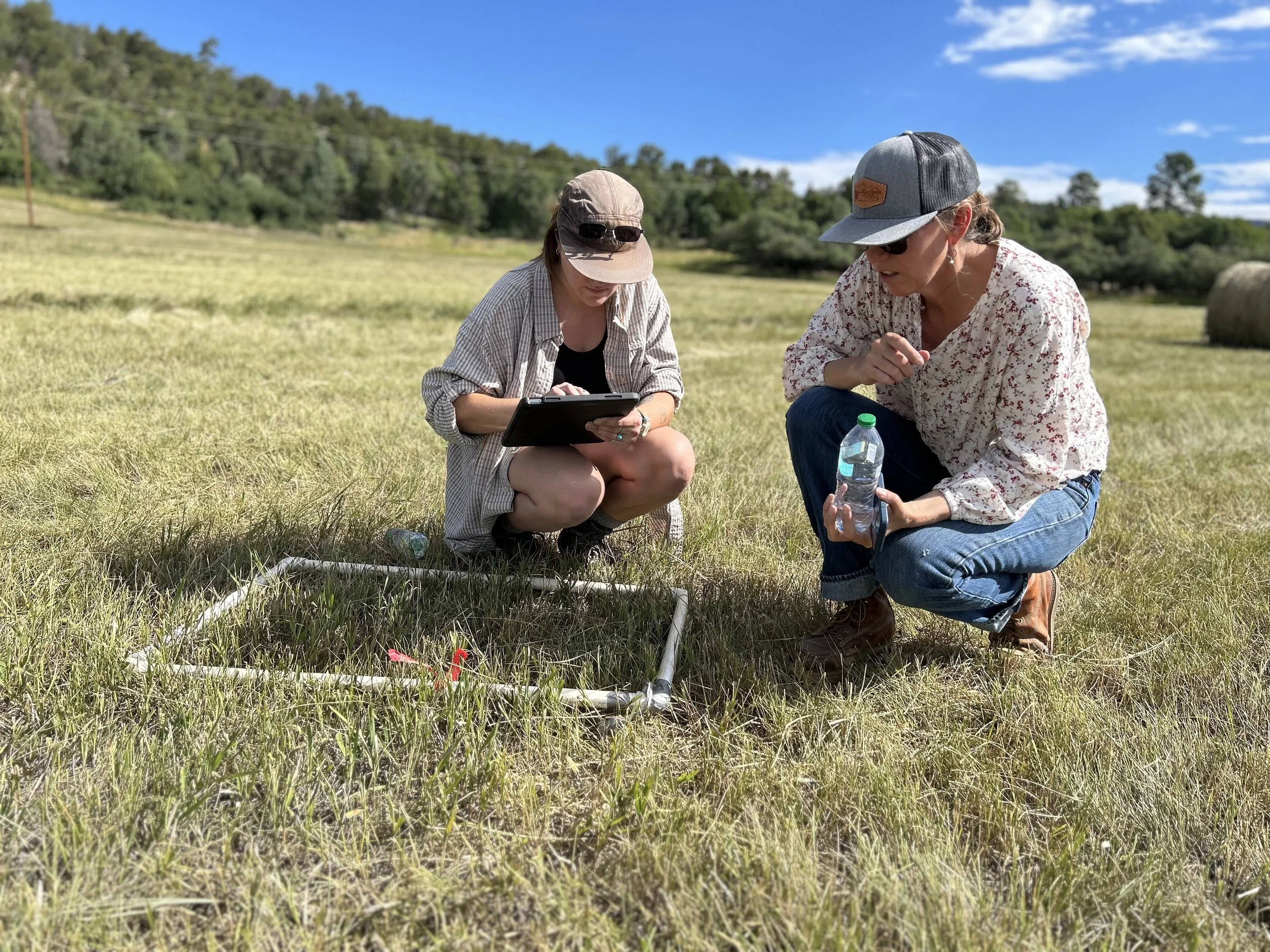 Two women in casual clothing examining a soil sample or plant in an open field with hay bales, trees, and a bright blue sky in the background.