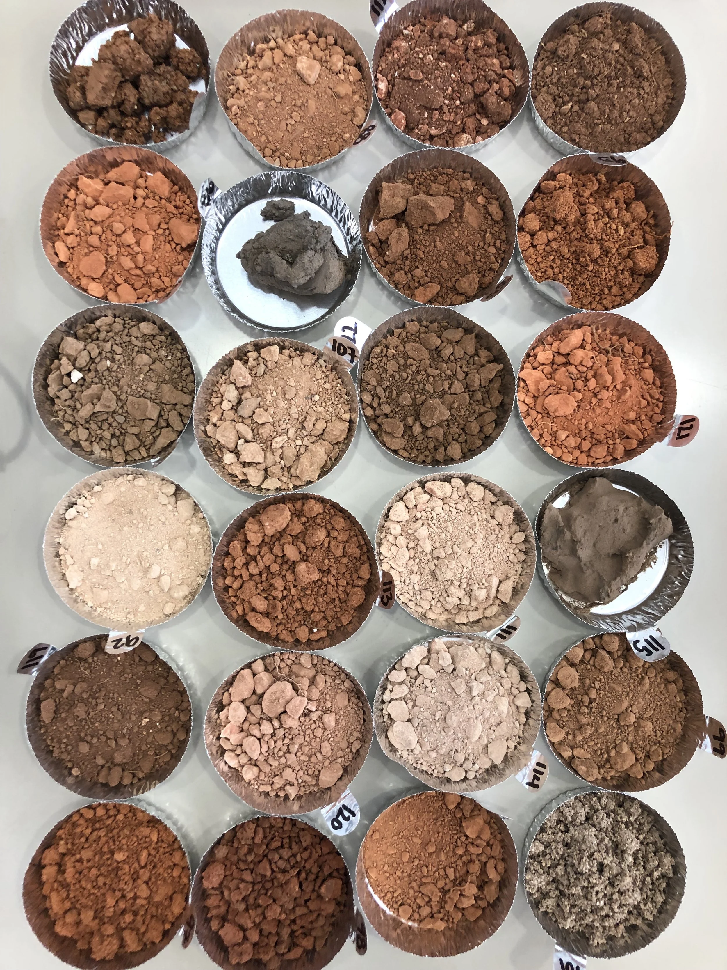 A display of 16 different types of soil or clay samples in metal cups, arranged in four rows on a white surface. Each sample varies in color, texture, and granule size, with some labeled with small tags.