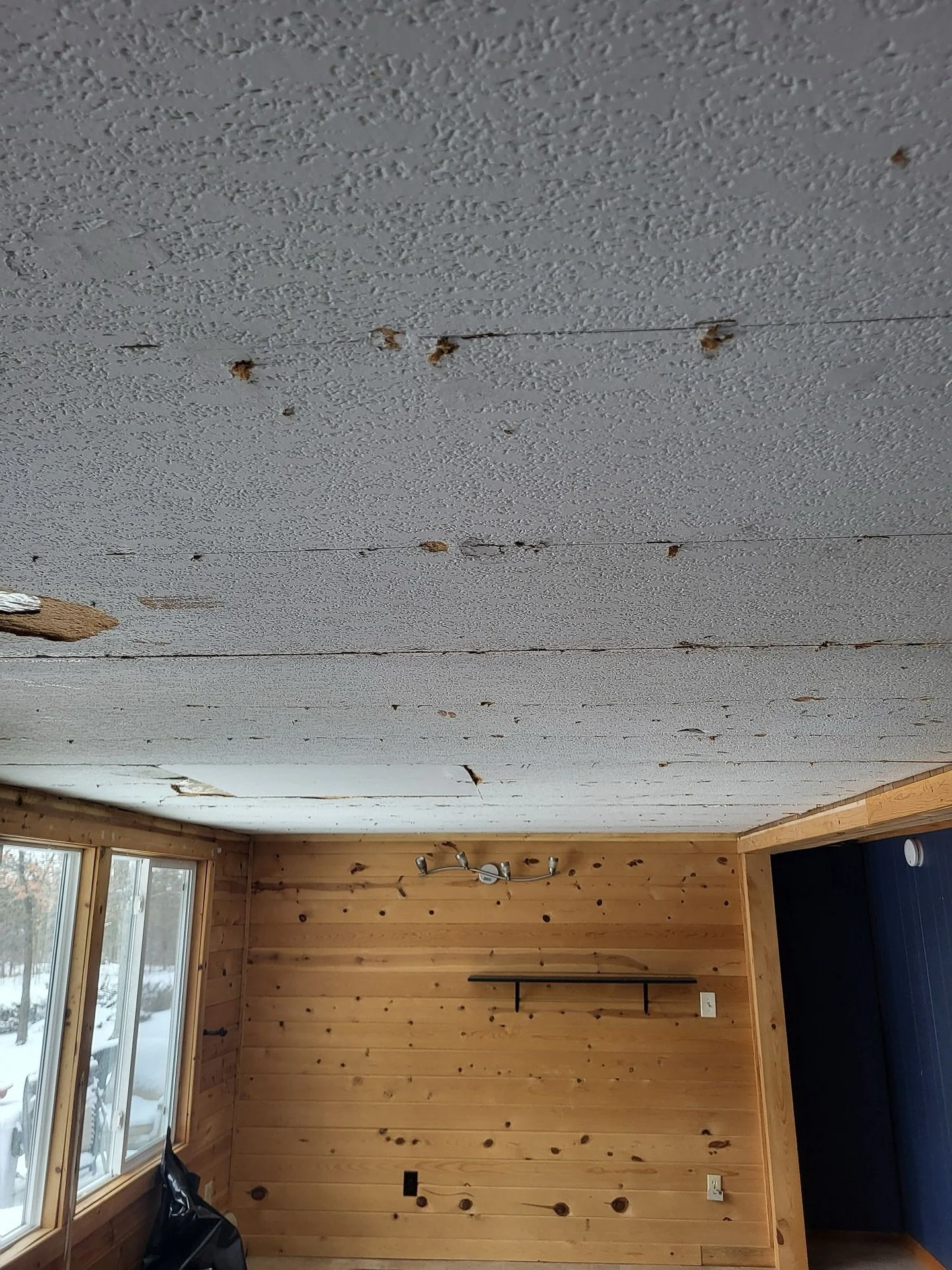 Bemidji Mn drywall and painting.  Message us for a free estimate.  Popular choices have been popcorn removal lately. Plus lots of storm damage and water damage.