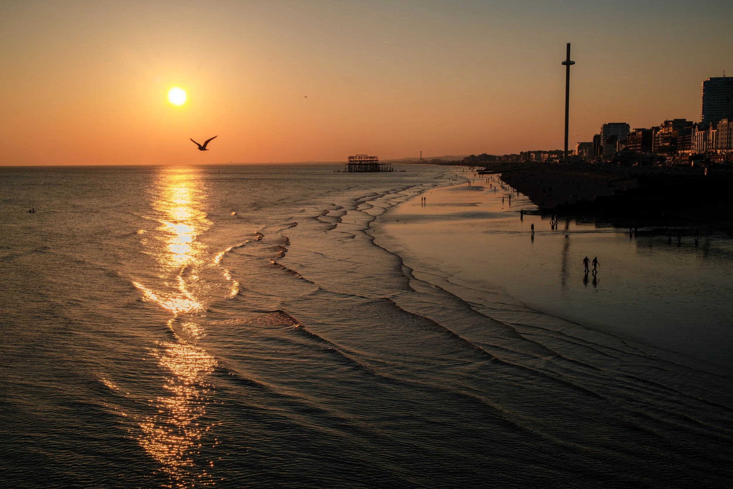 DSCF3578.jpg