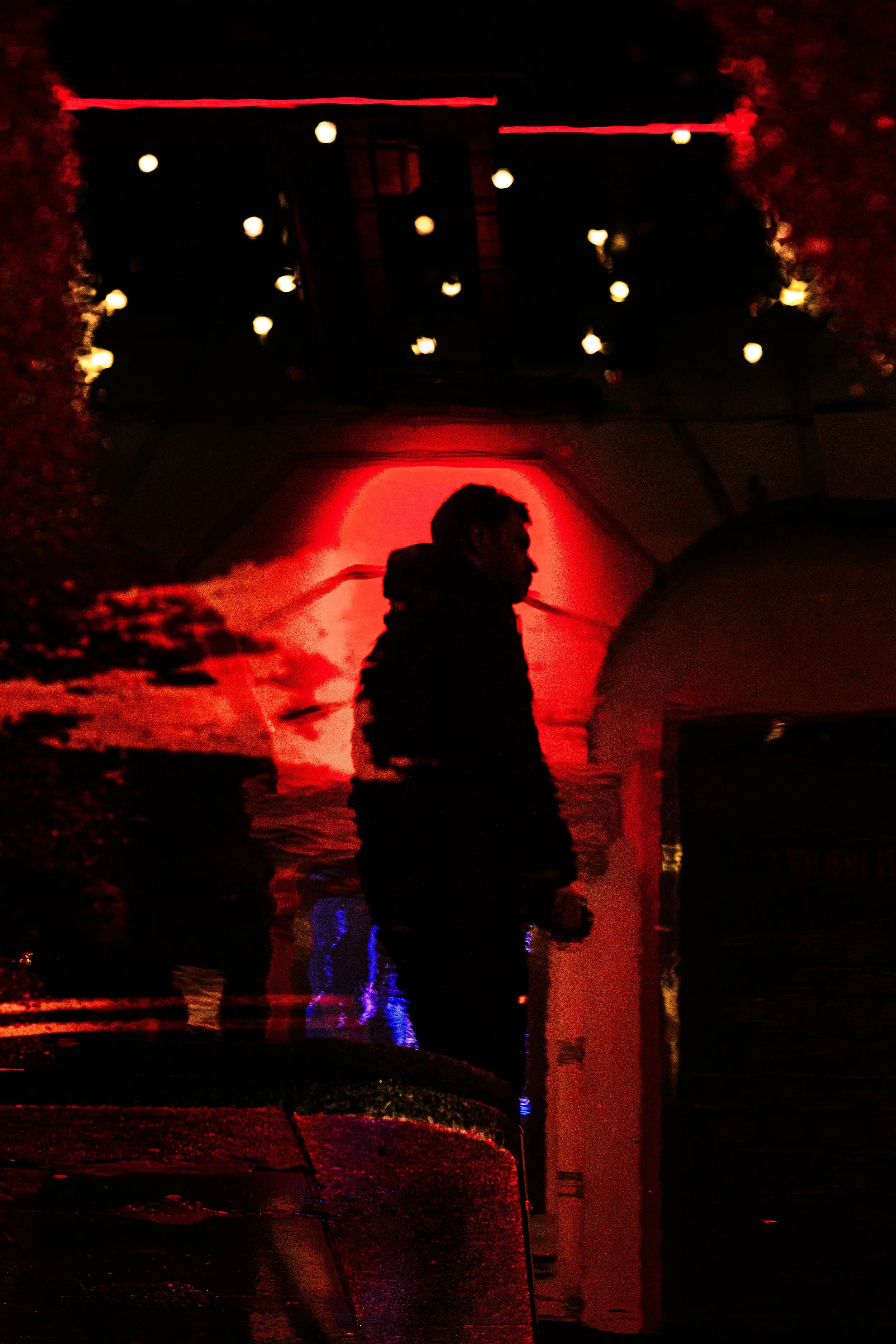 DSC_5514.jpg