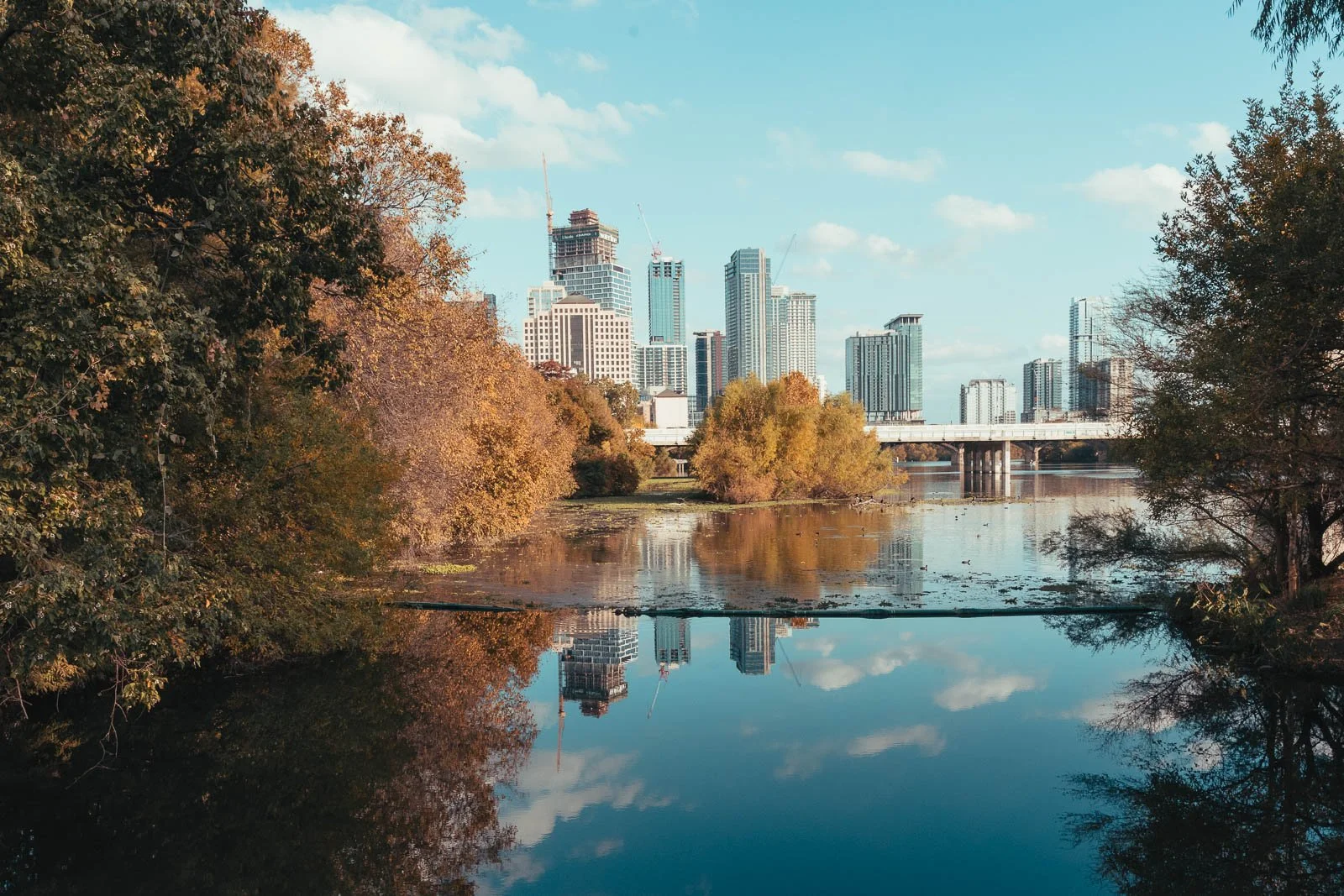 A city skyline with high-rise buildings under construction, seen across a calm river with trees on both sides displaying autumn colors, and a bridge over the river.