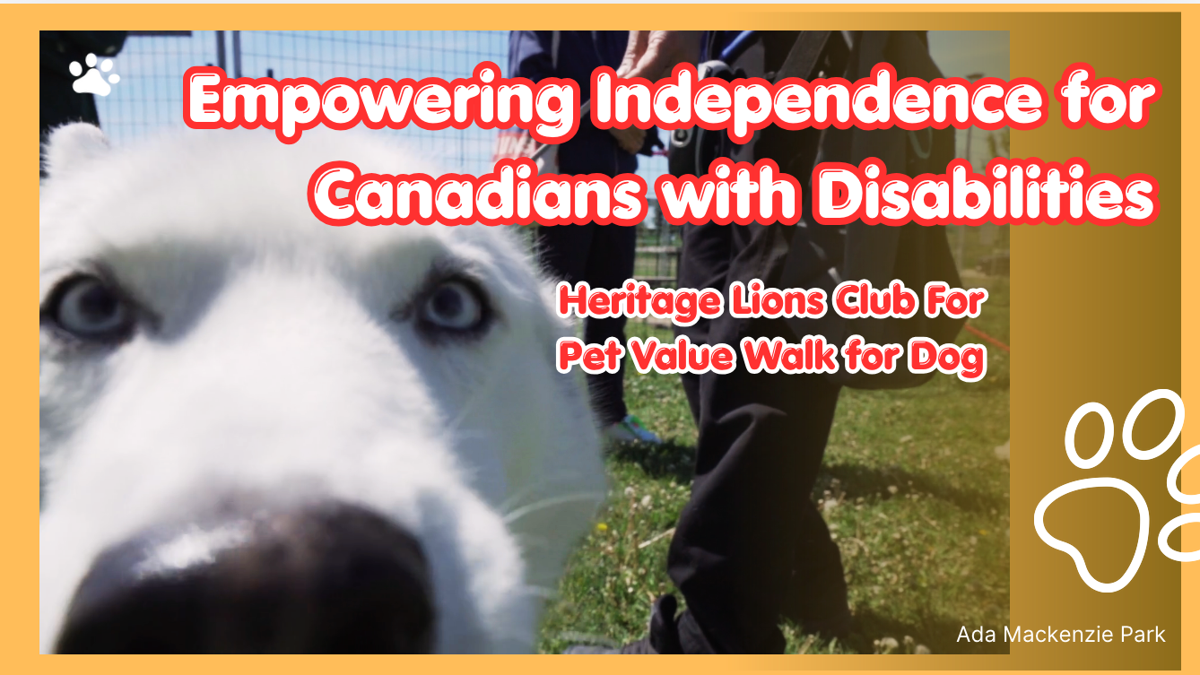 🐾 Walking Together for a Meaningful Cause - Dog Guides