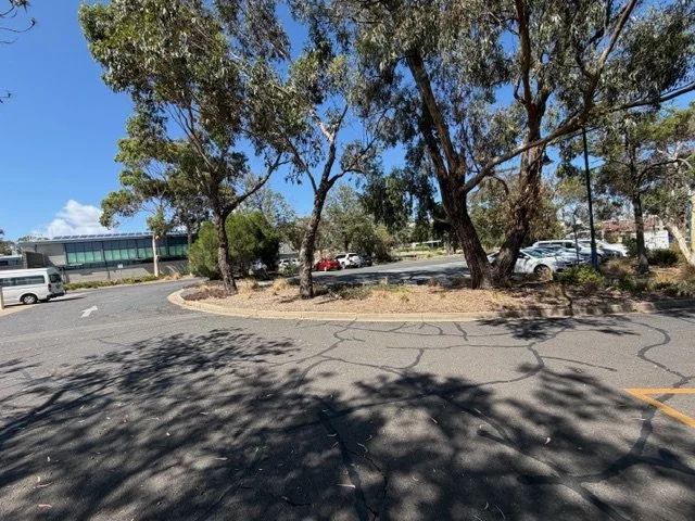 A parking lot with a few cars parked near trees and a building in the background, with clear blue sky and shadows cast on the pavement.