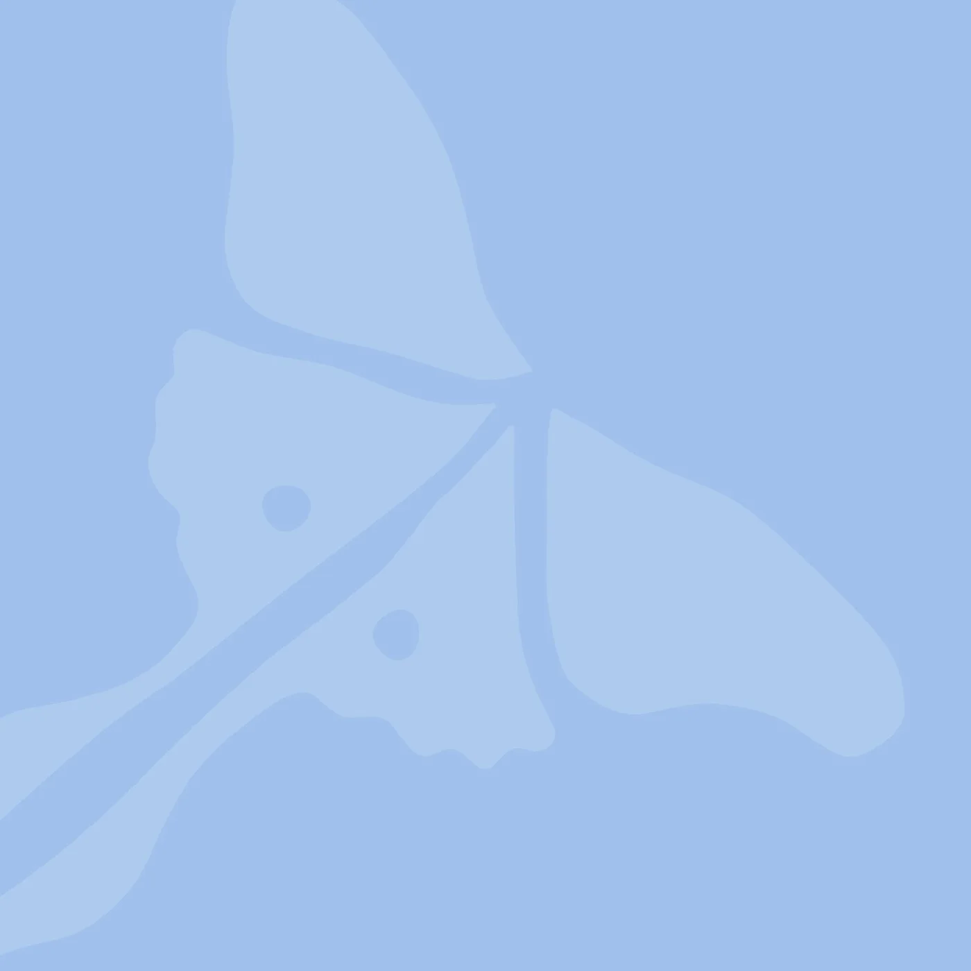 The Actias School logo, an Actias moth, in a blue colorway.