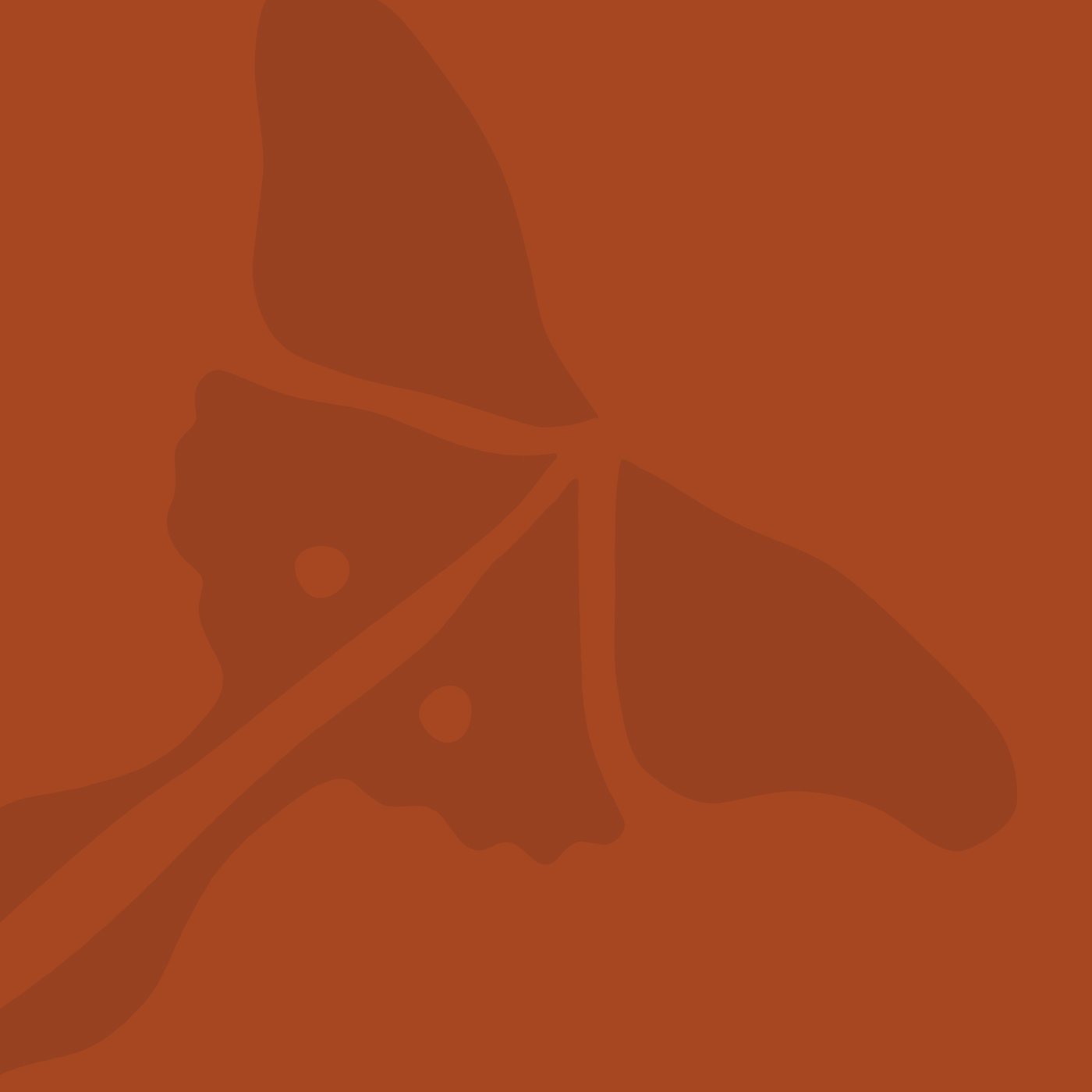 The Actias School logo, an Actias moth, in a brick red colorway.