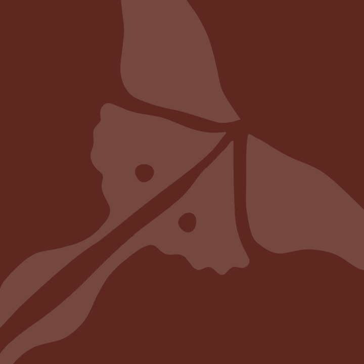 The Actias School logo, an Actias moth, in a brownish red colorway.