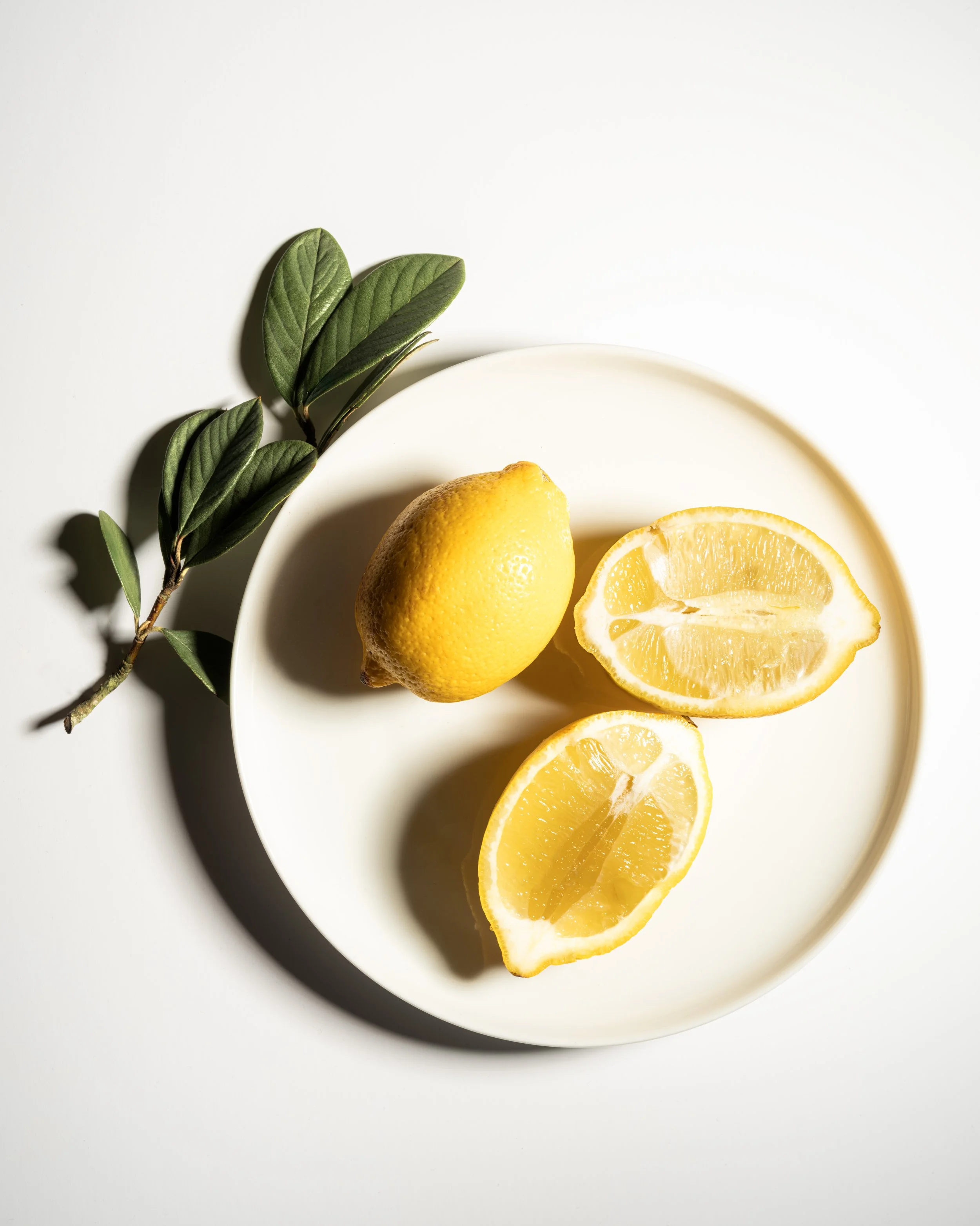 MAY-CITRON0066.jpg