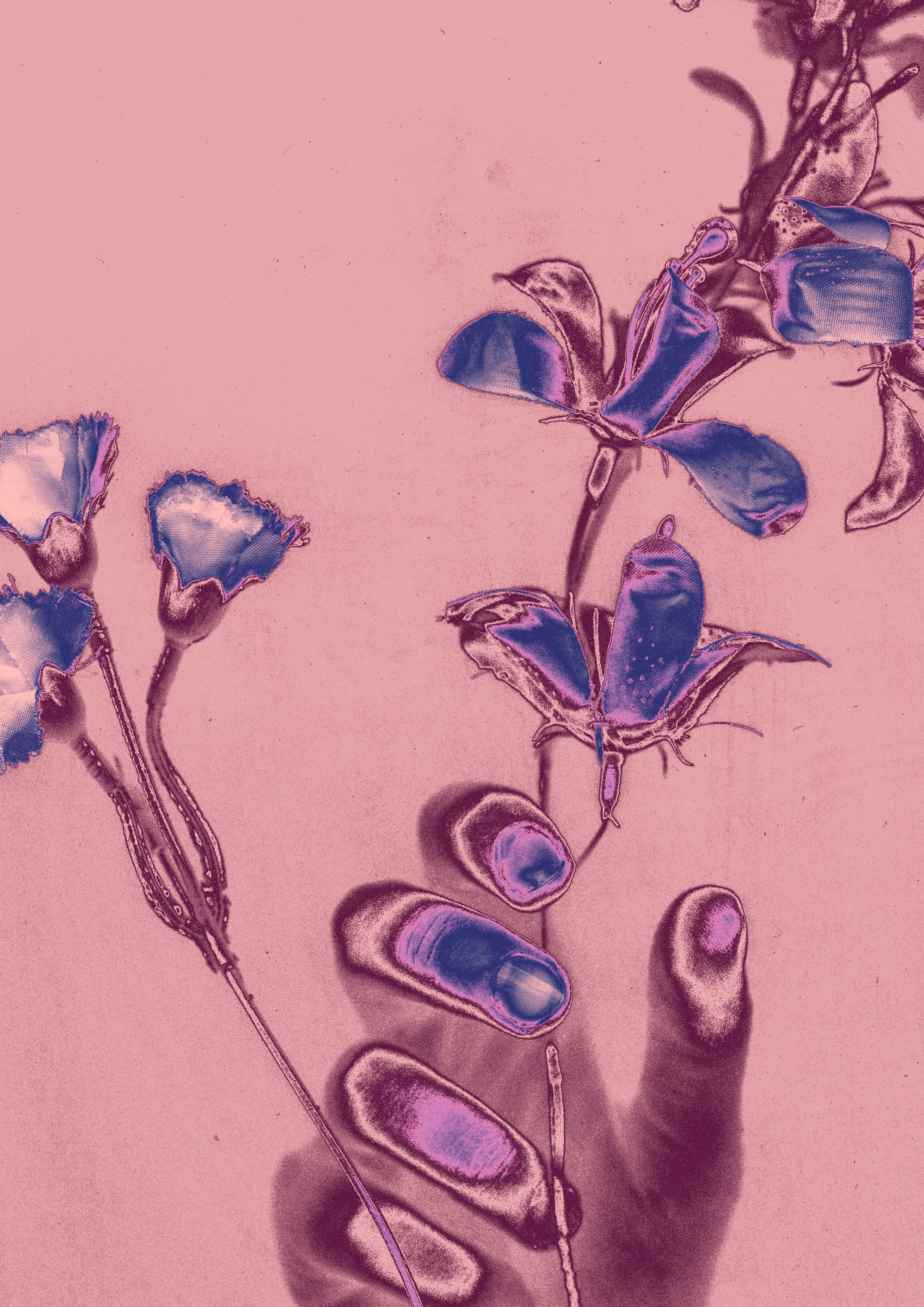 Une illustration artistique de feuilles et de fleurs dans des tons violets et bleus sur fond rose.