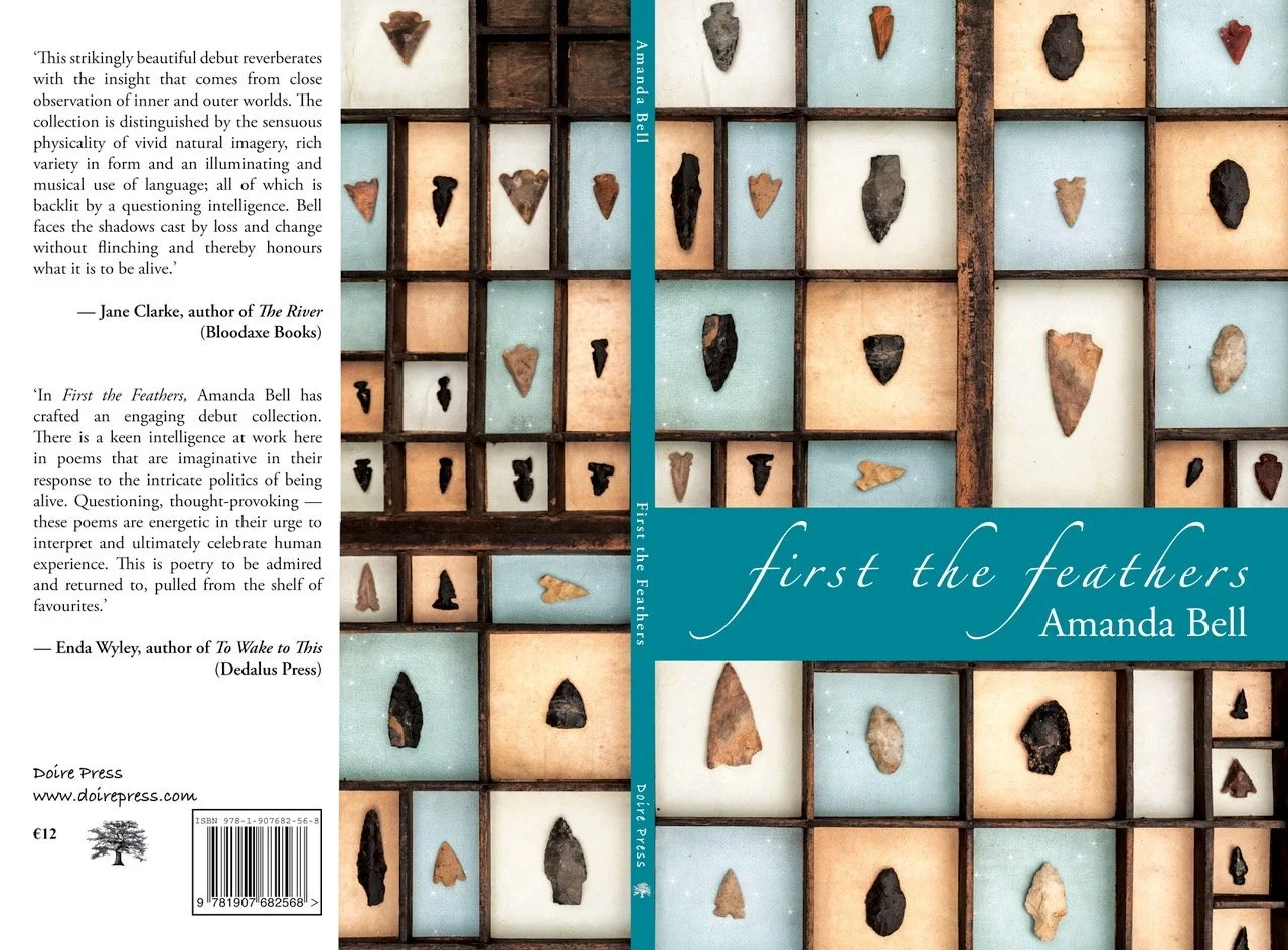 Book cover for 'First the Feathers' by Irish author Amanda Bell, featuring a grid of small wooden compartments with ancient arrowheads and stone tools, some with colored backgrounds.