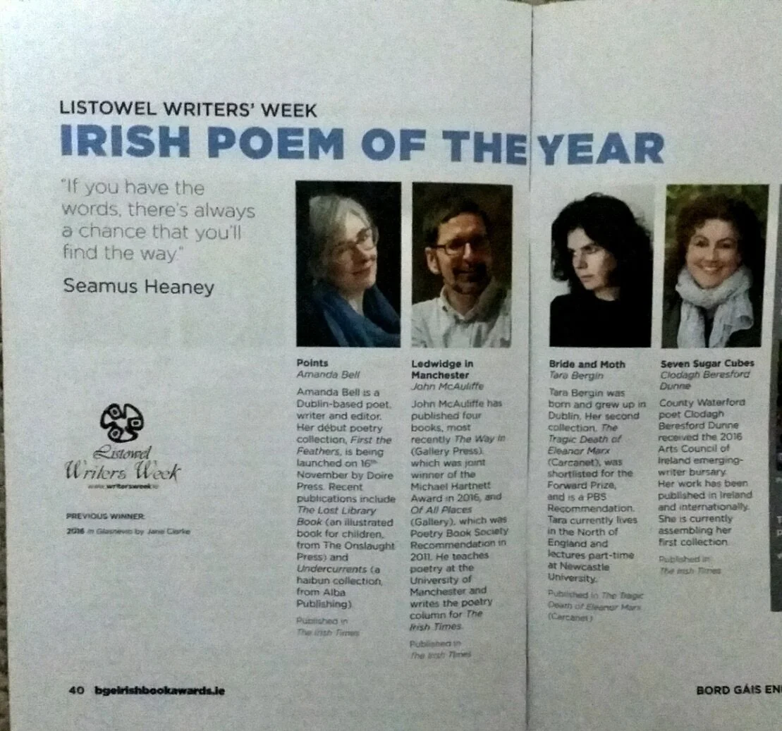Page from a publication featuring Irish Poem of the Year winners with photos and descriptions of Seamus Heaney, Amanda Bell, John McAuliffe, Tara Bergin, and Clodagh Beresford Dunne.