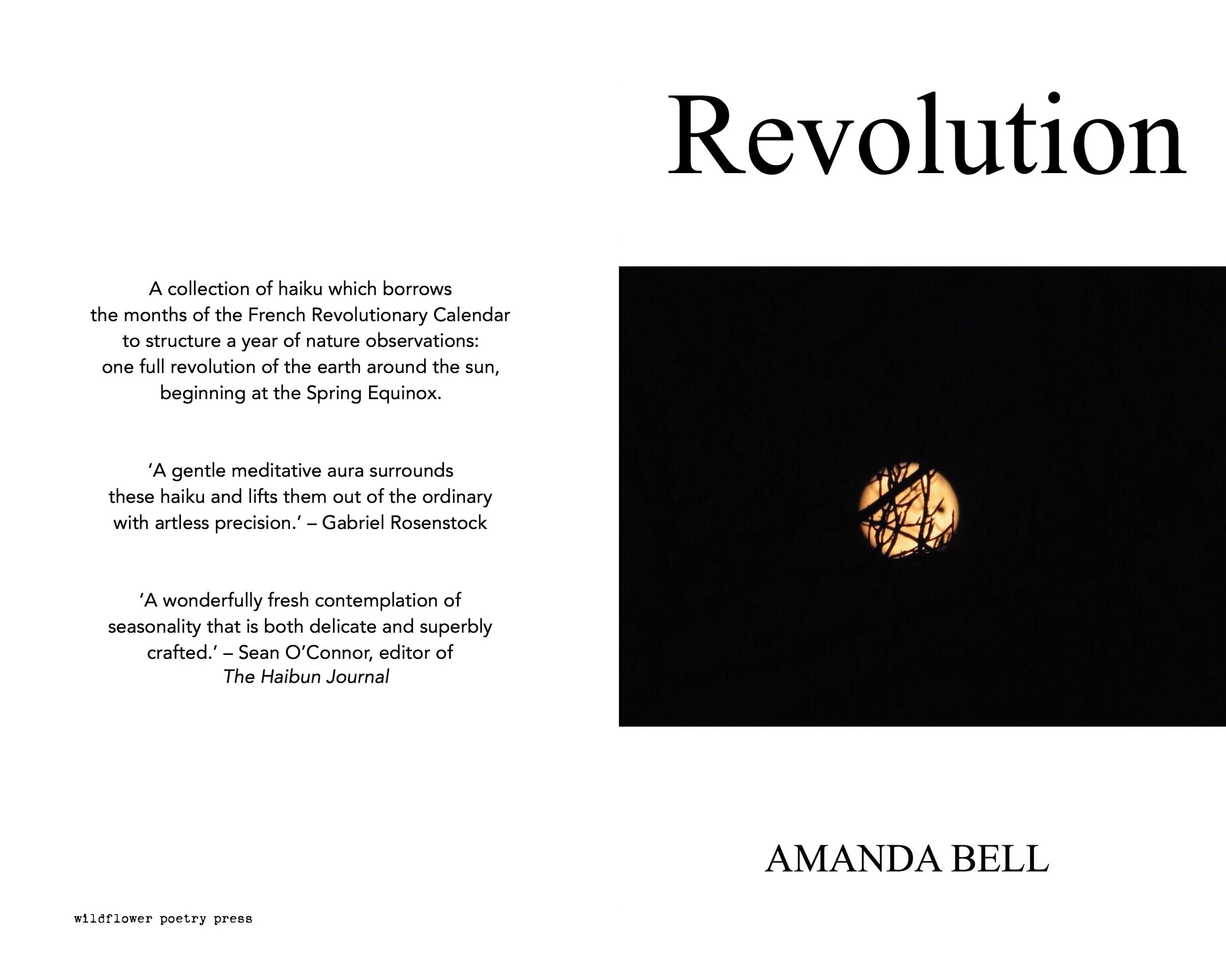 A book cover of Amanda Bell's book, Revolution