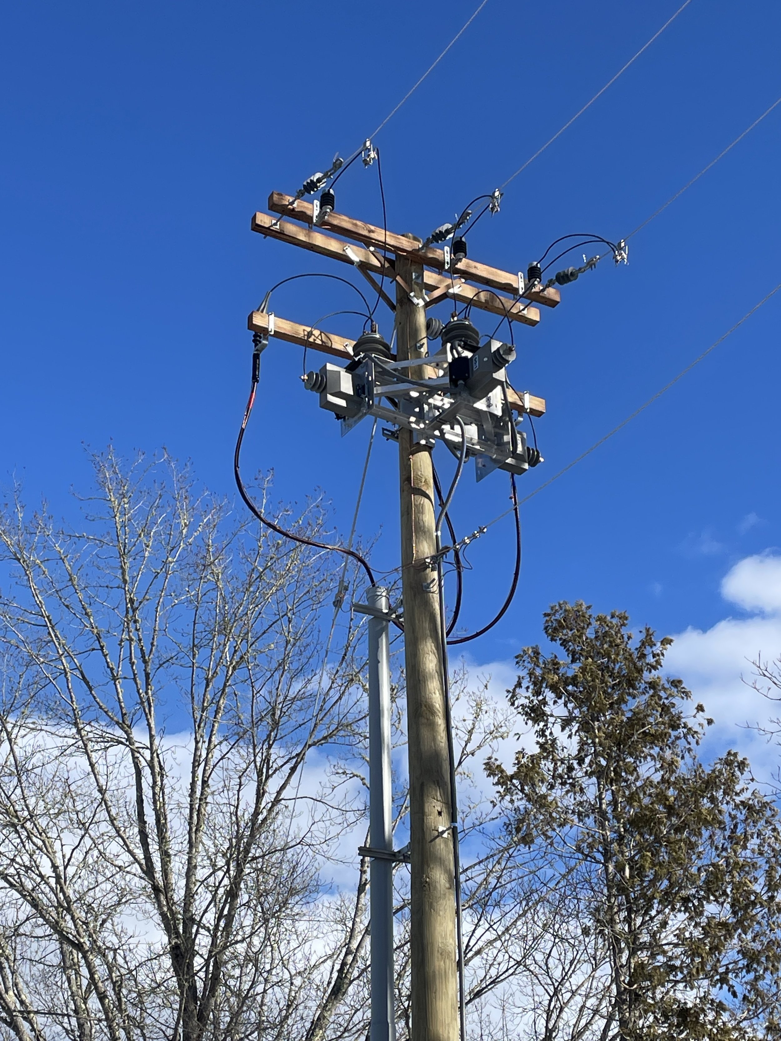 A utility pole with electrical transformers and wires, set against a clear blue sky, with leafless trees below.