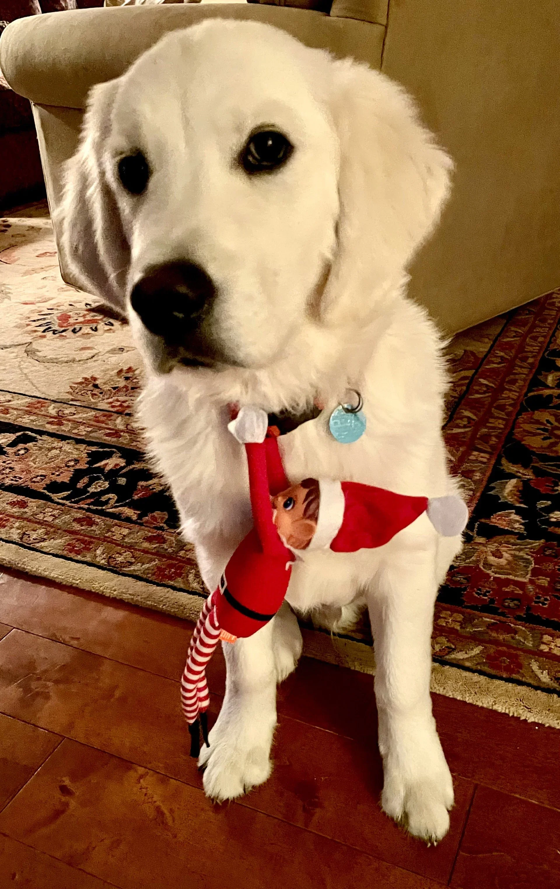 Twas Two Days Before Christmas
