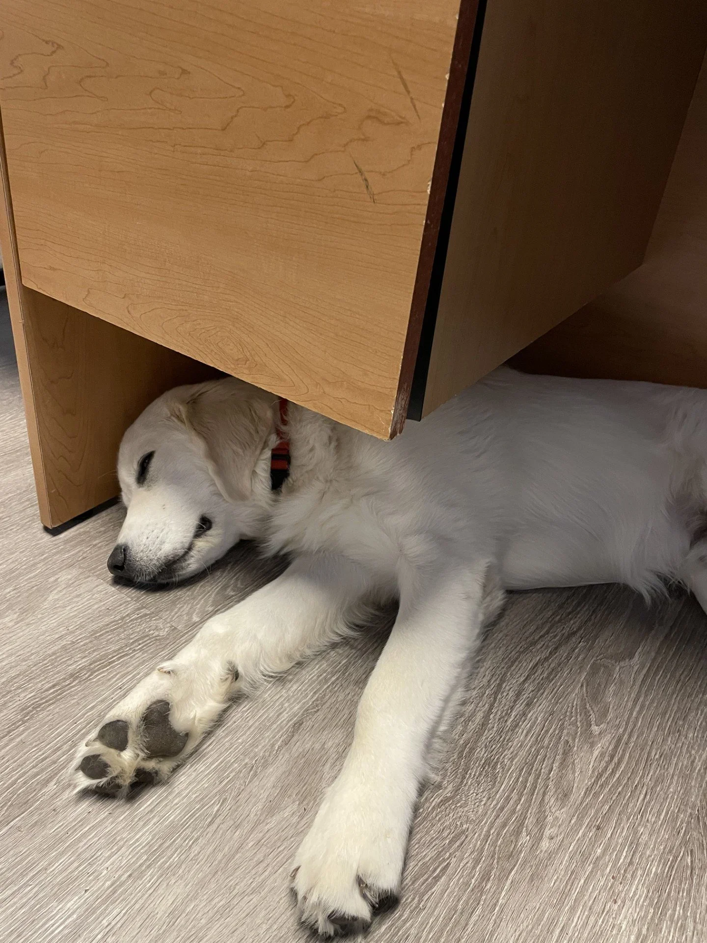 The Importance of Rest