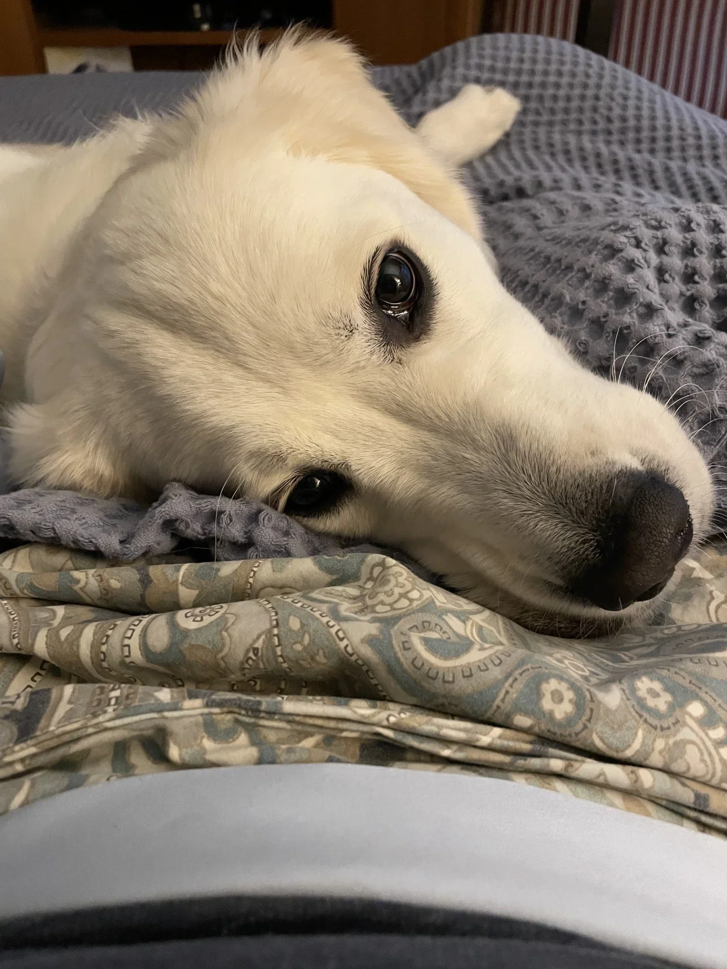 How I Stole Doc’s Heart, the Survival of the Friendliest