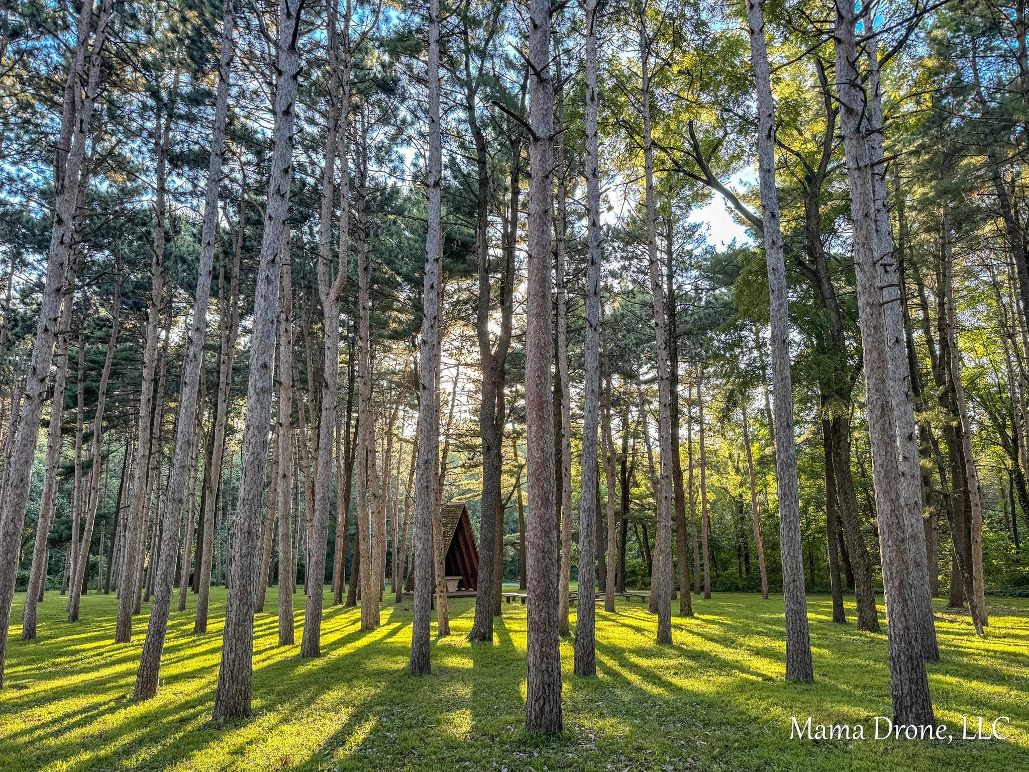 Spring at Hok-Si-La Campground, Lake City, Minnesota