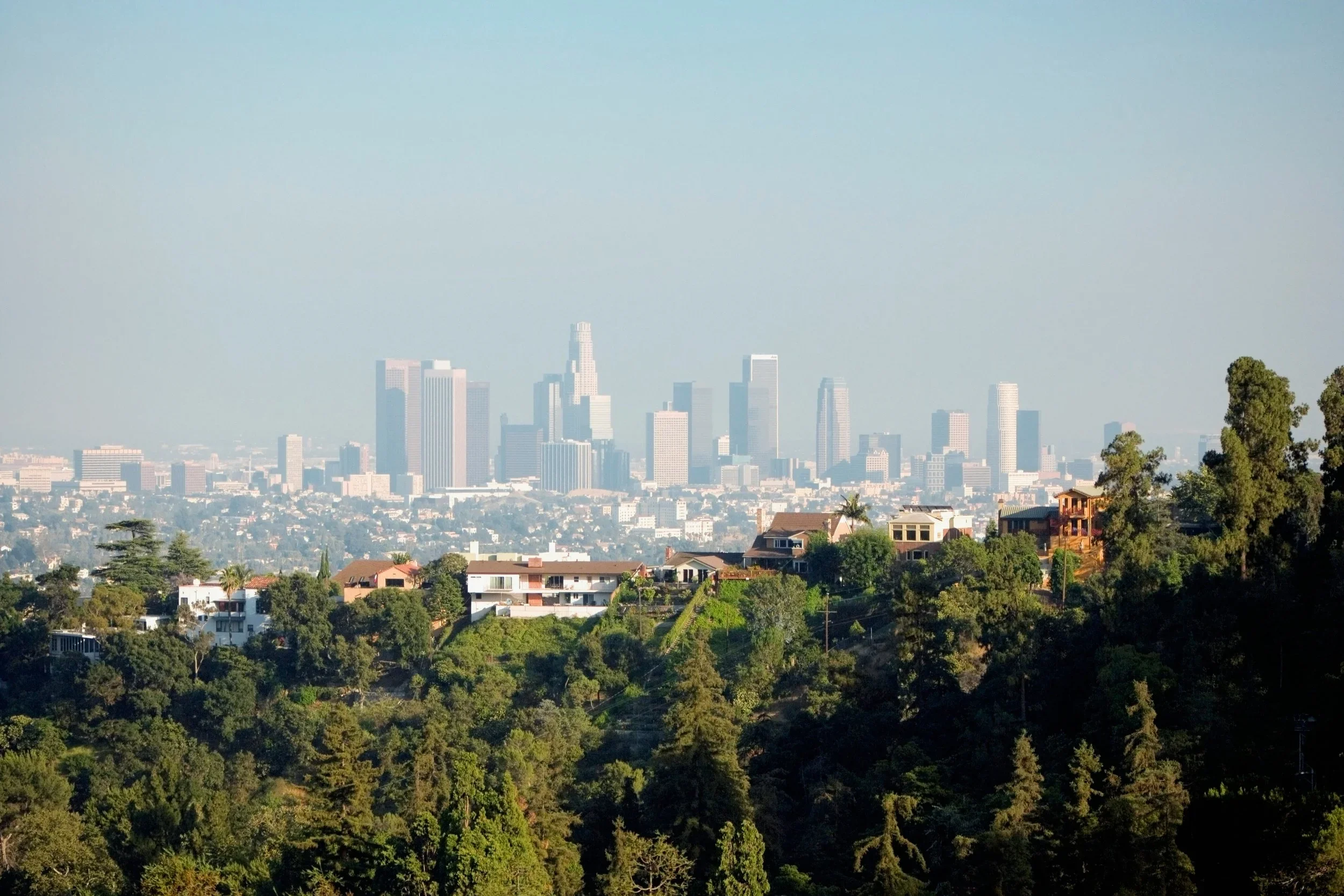 Reflections After Year One of Rebuilding in Los Angeles