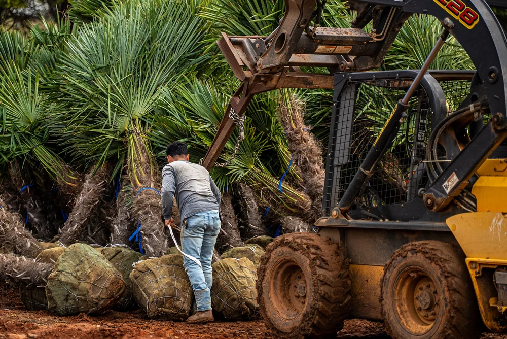 Commercial video production for a Charlotte-area landscaping business