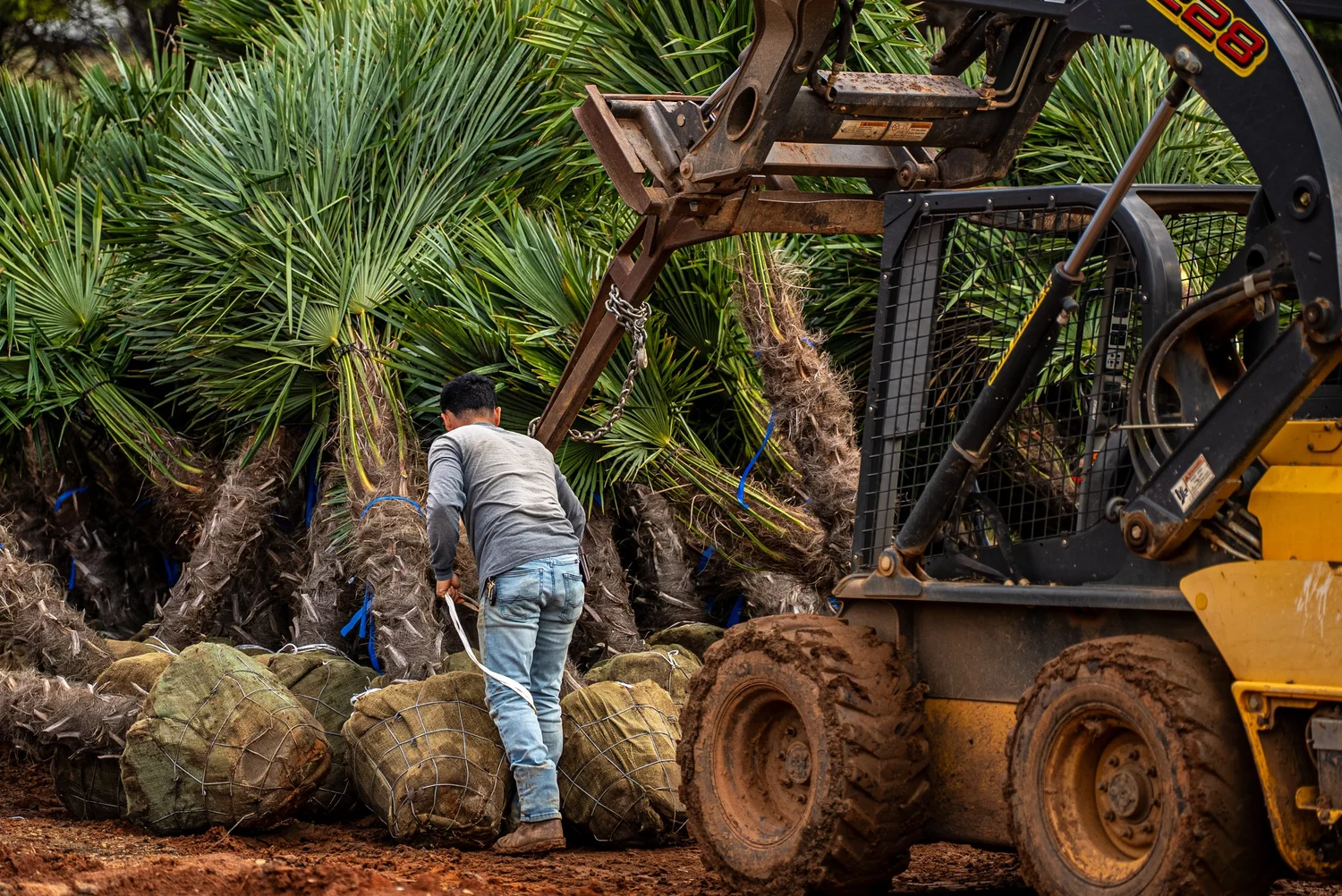 Commercial video production for a Charlotte-area landscaping business