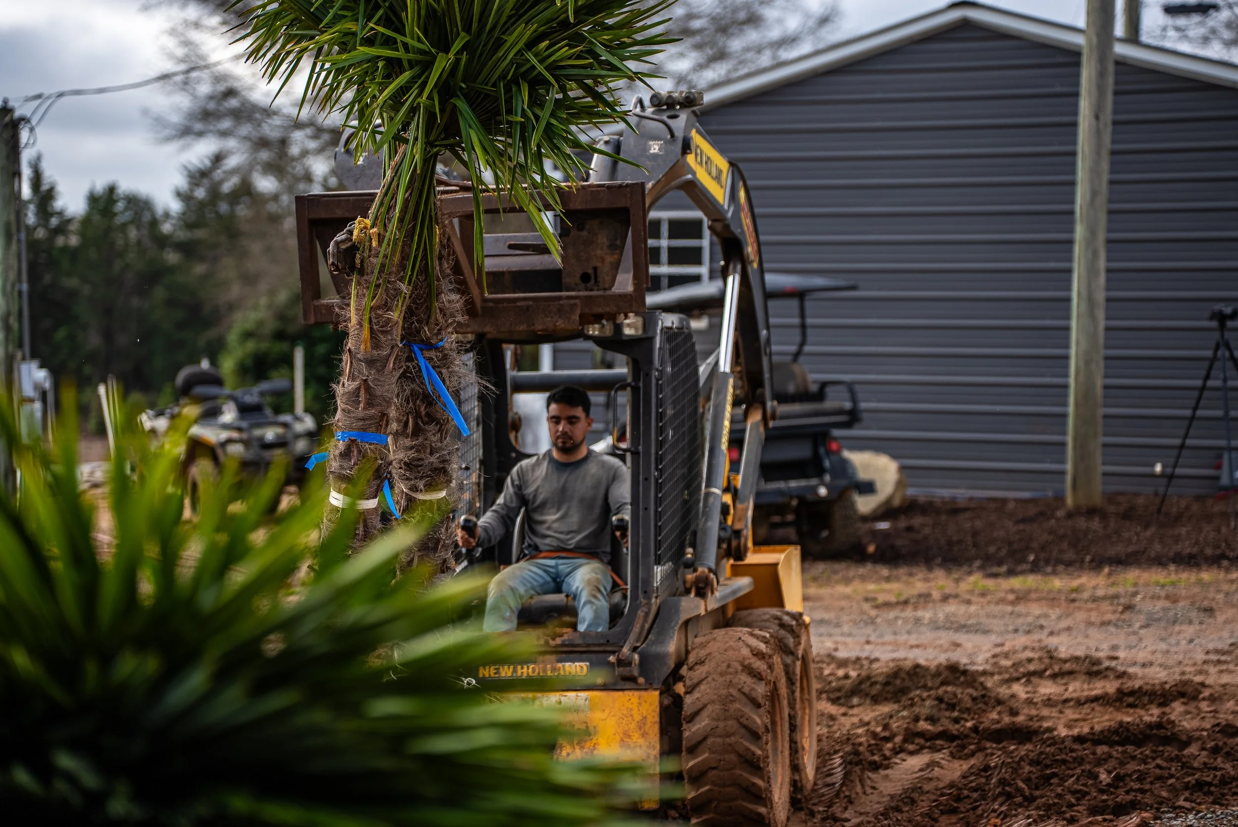 Lees Nursery palm trees installed with Charlotte NC skyline in background commercial video production by MaRad Productions