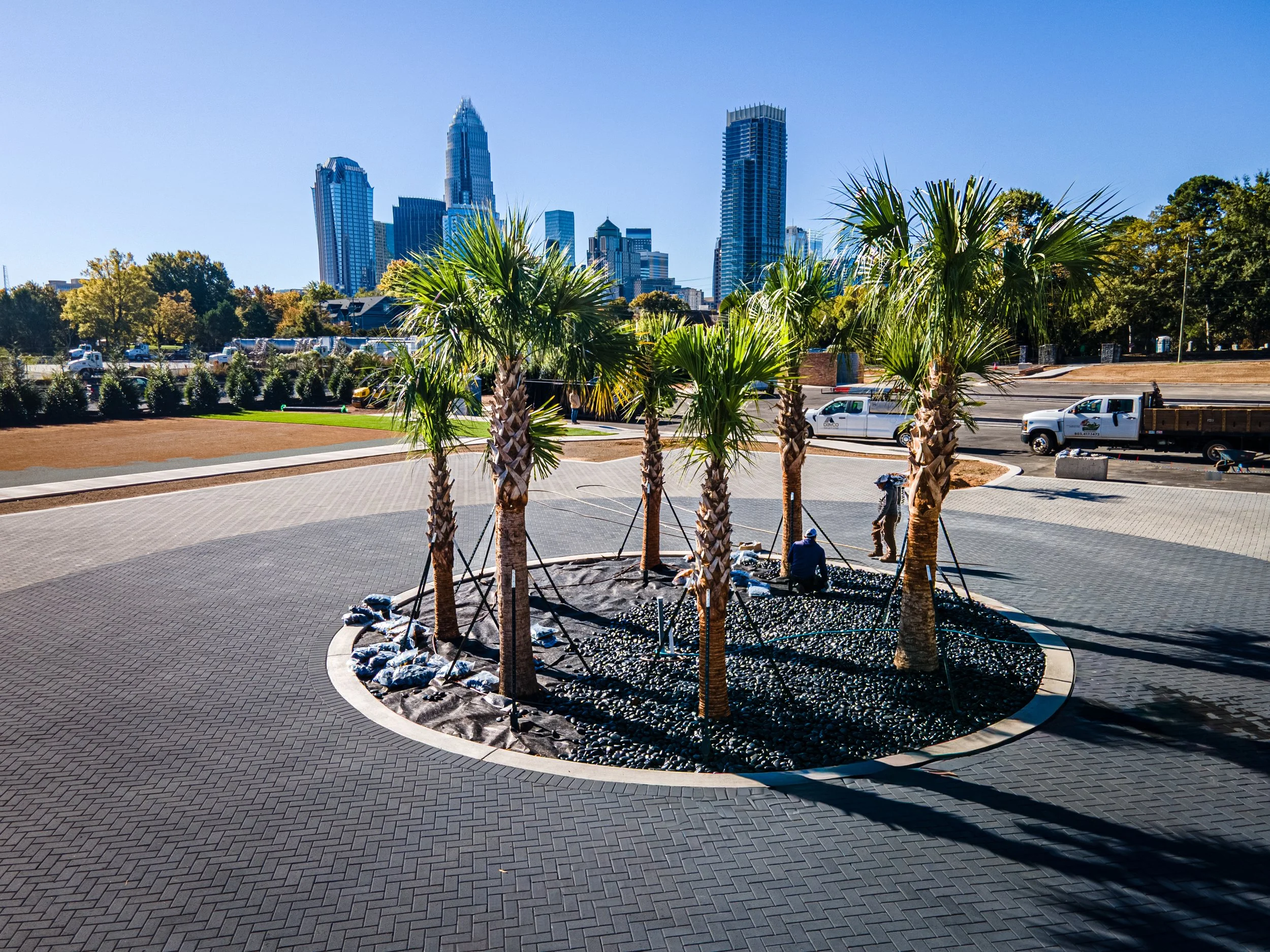 Lees Nursery palm tree farm rows overhead view commercial photography by MaRad Productions Charlotte NC
