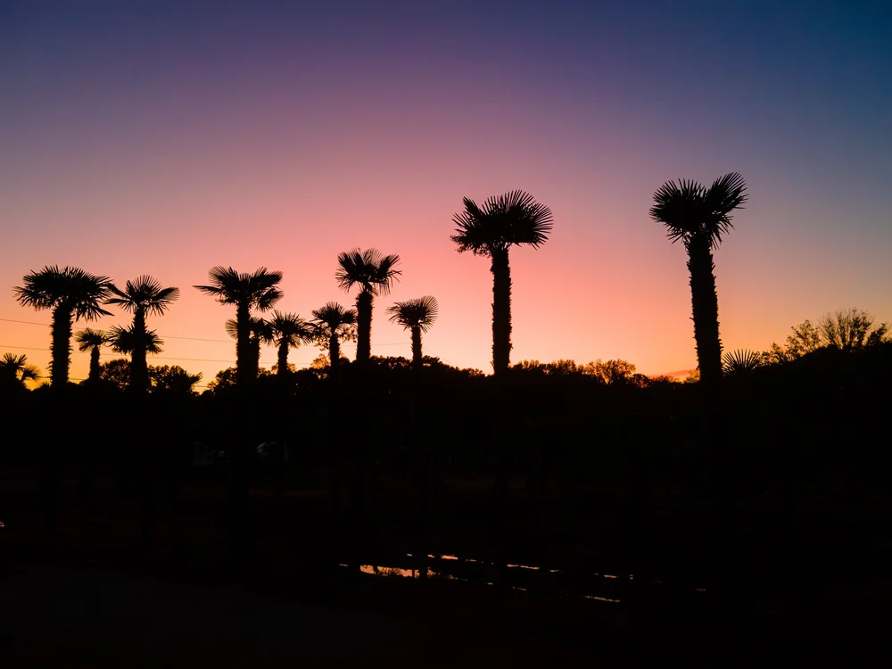 Cinematic sunset frame from a MaRad Productions project
