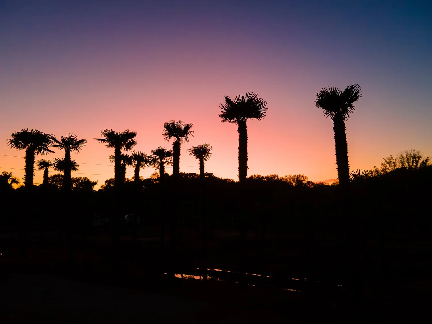 Cinematic sunset frame from a MaRad brand project