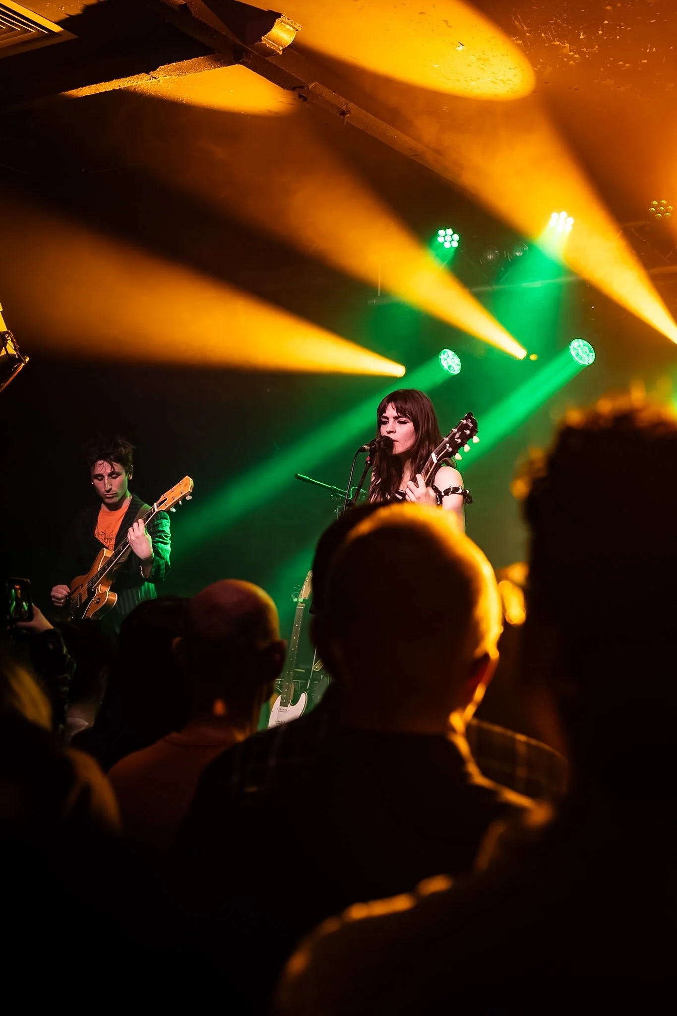 A concert scene with colorful stage lighting, featuring a female singer playing an electric guitar and singing into a microphone, surrounded by an audience.