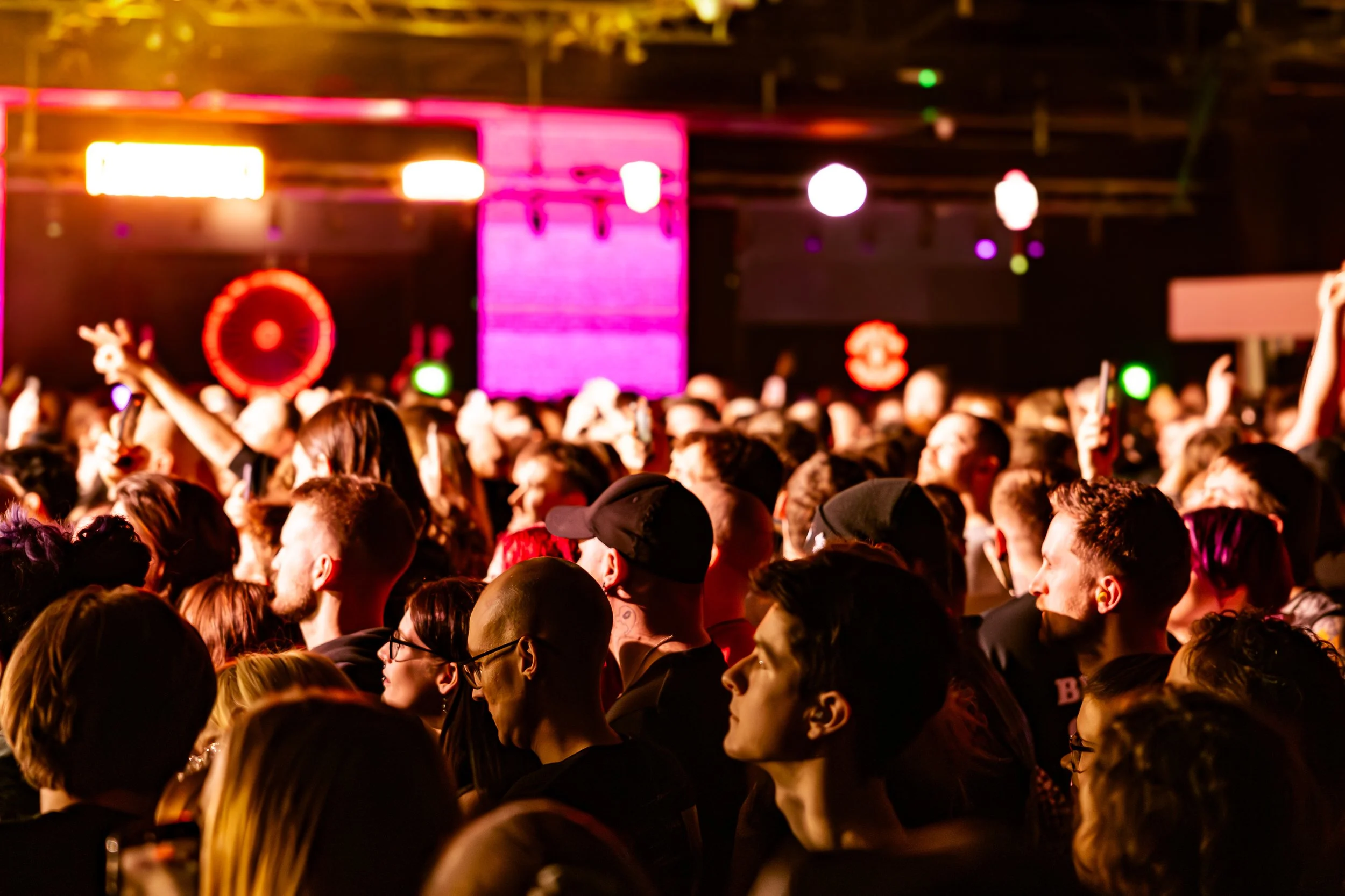 Crowd of people at a nightclub or concert with colorful pink, purple, and white lights on stage in the background.