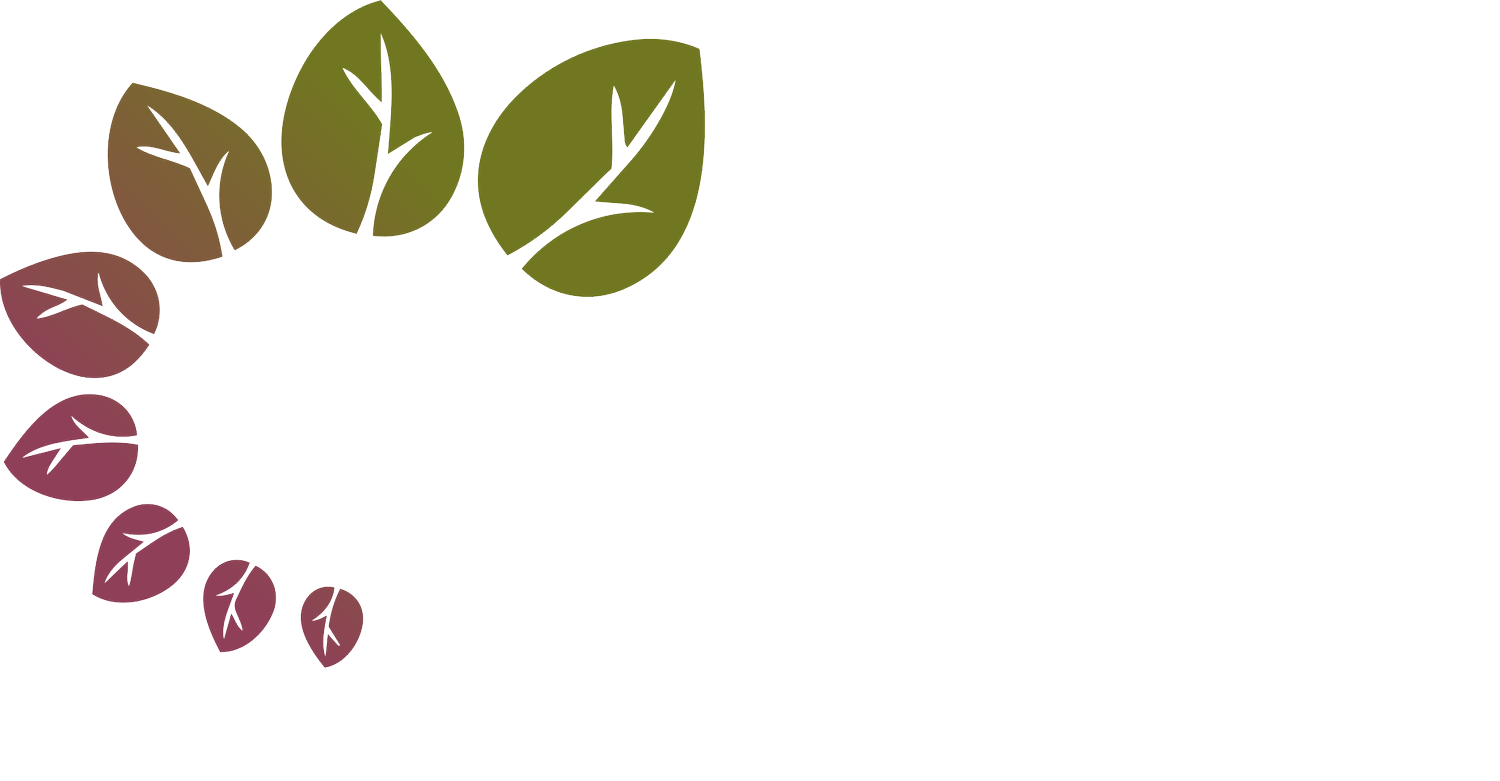 Planning for Profit