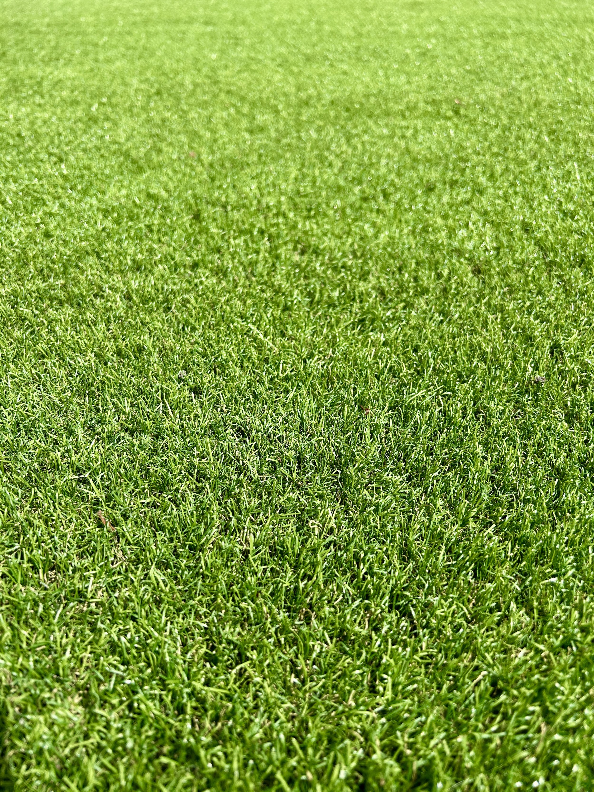 Artificial Grass Cleaning Charlton Village