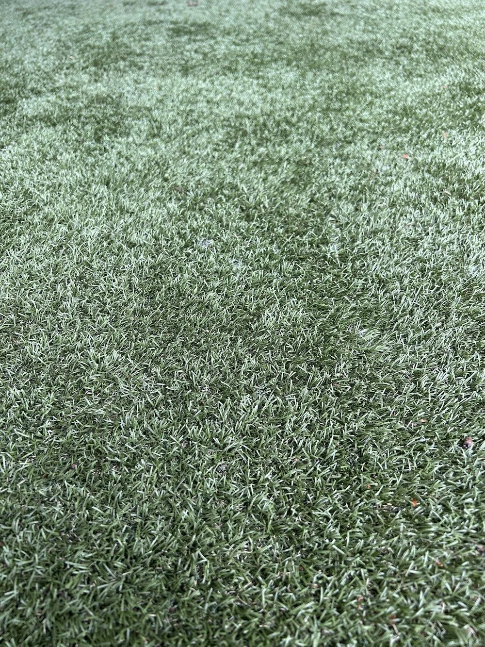Wonersh artificial lawn restoration by Revive artificial grass cleaning