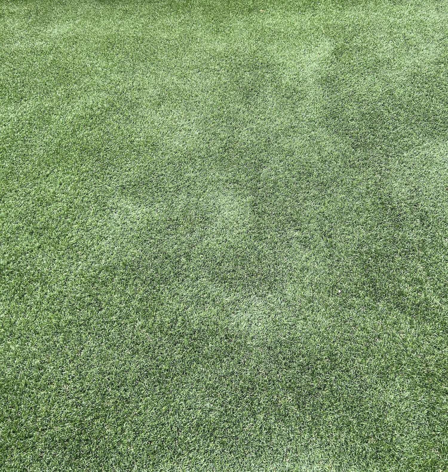 Artificial Grass Cleaning in Shepperton