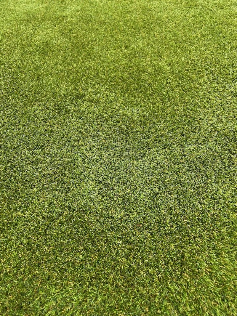 Professional artificial grass cleaning and premium kiln-dried sand infill restoration service completed for a residential lawn in Kingston-upon-Thames.