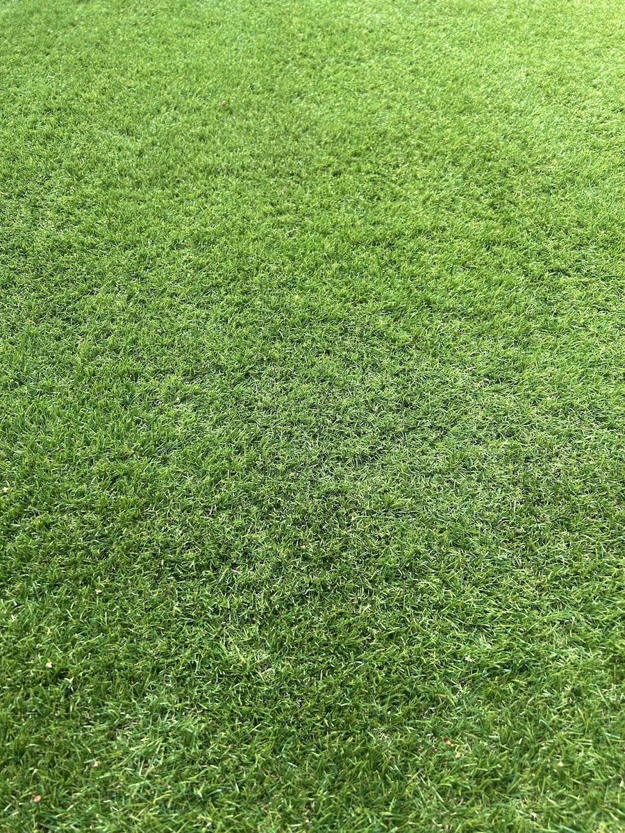 artificial grass cleaning in walton on thames