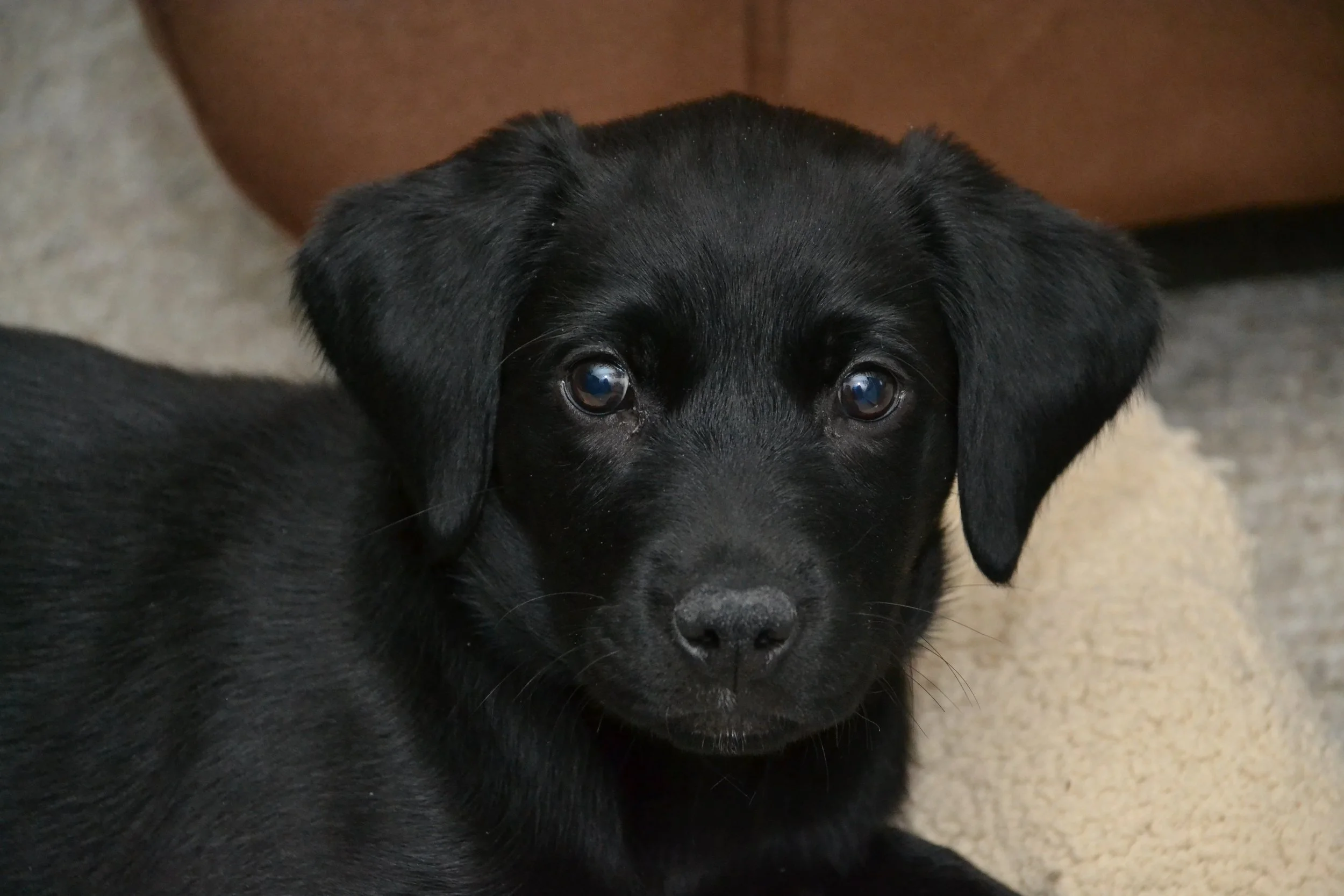 DSC_1358.JPG