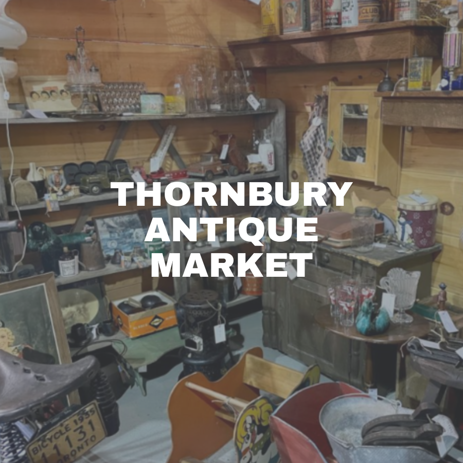 Thornbury Antique Market, multiple vendors.