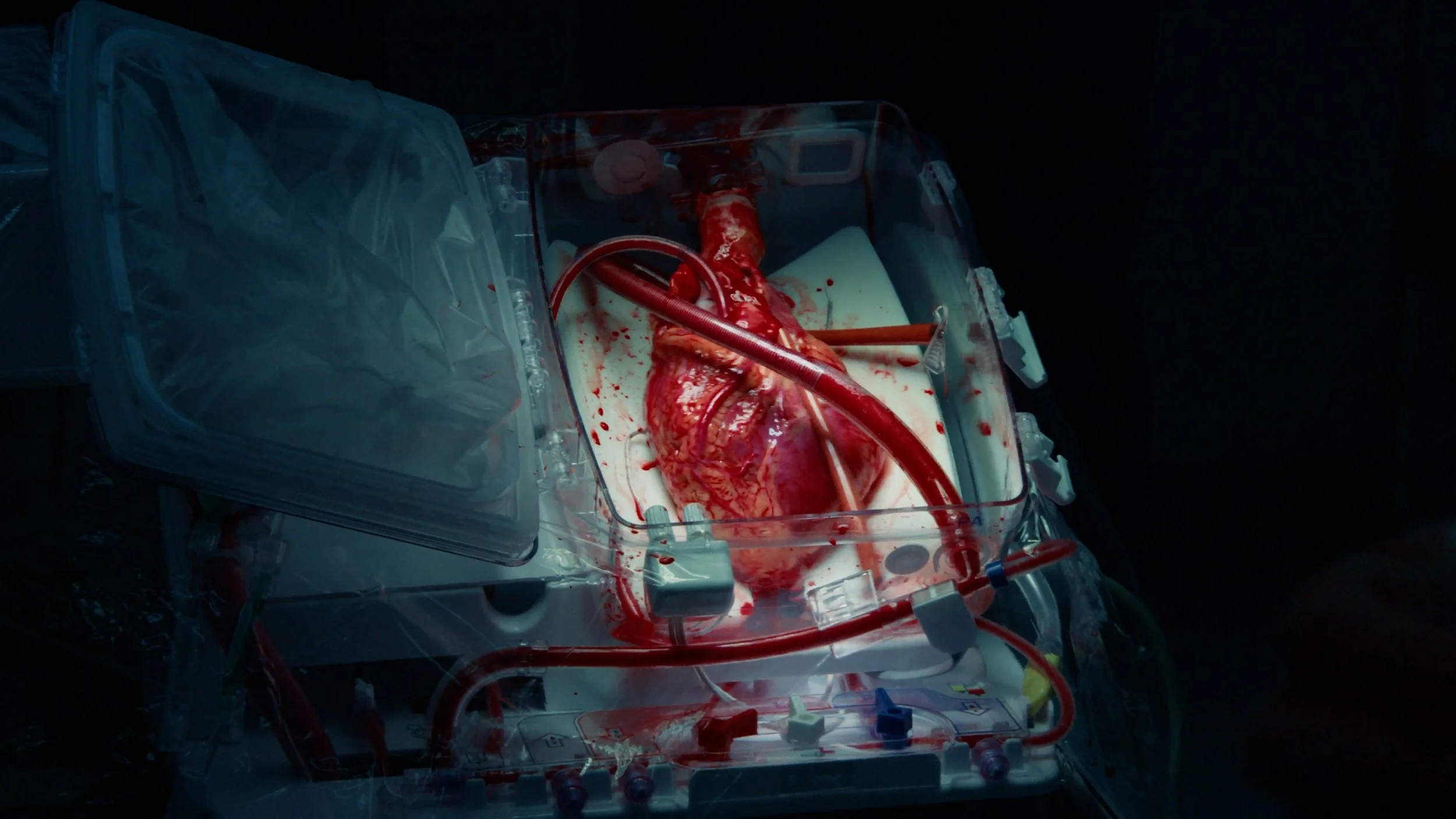 P26405_Hartslagvaneenander_Still01_1