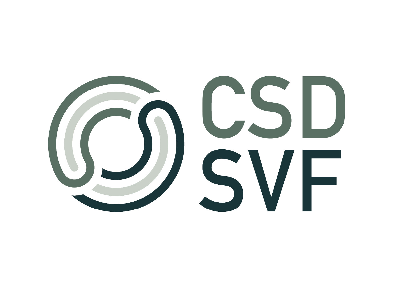 CSD SVF logo
