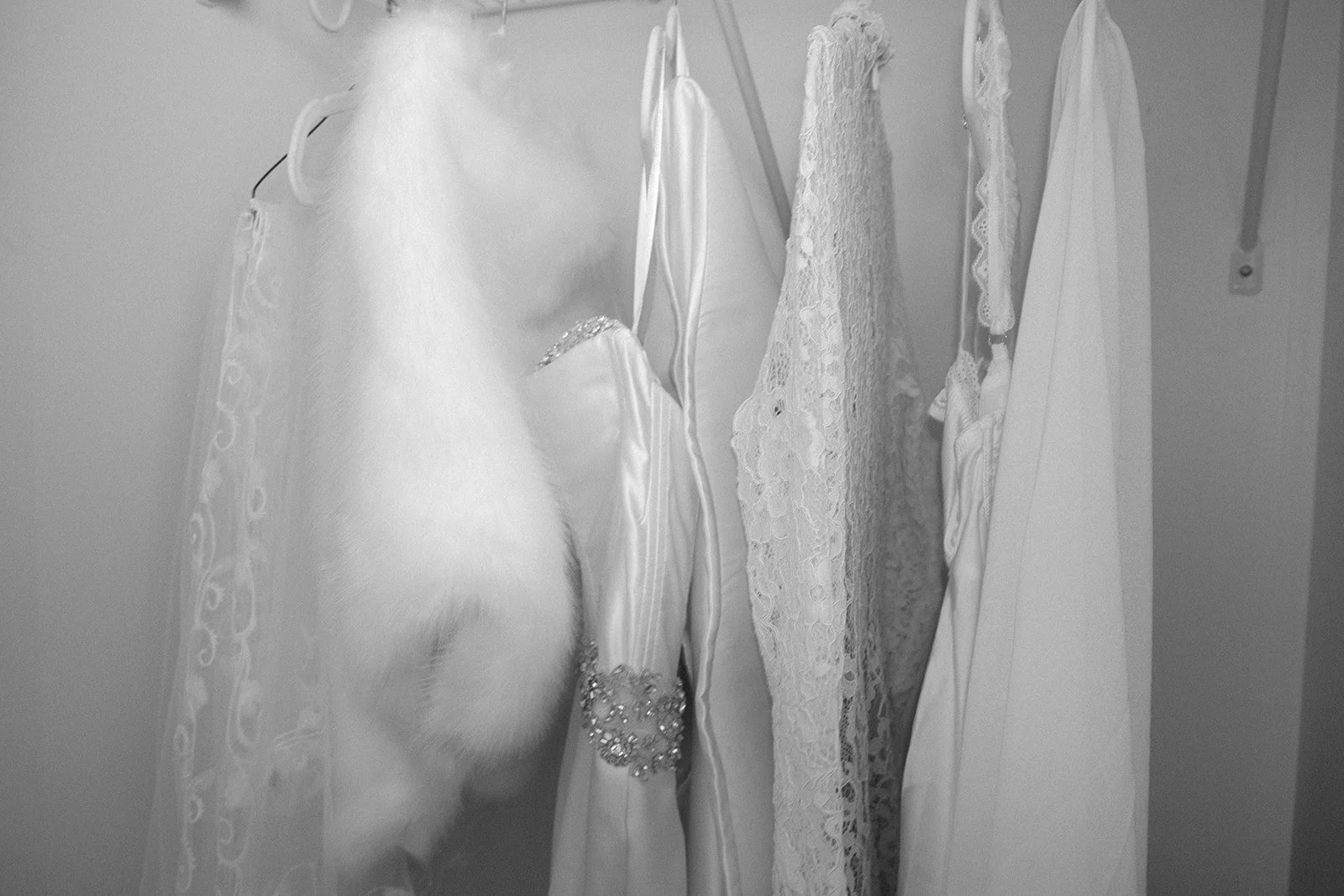 Wedding dress hanging on a closet rod among other white dresses and lace garments.