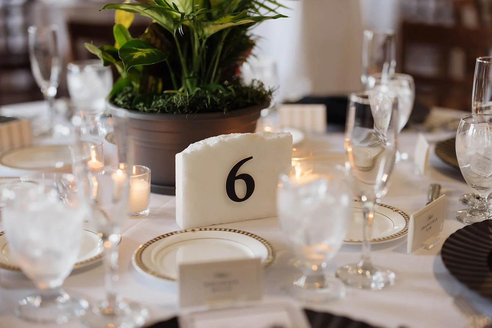A wedding or formal event table setting with a white tablecloth, glassware, gold-rimmed plates, and a centerpiece featuring a green plant in a pot. A white table number sign with the number 6 is prominently displayed in the center.