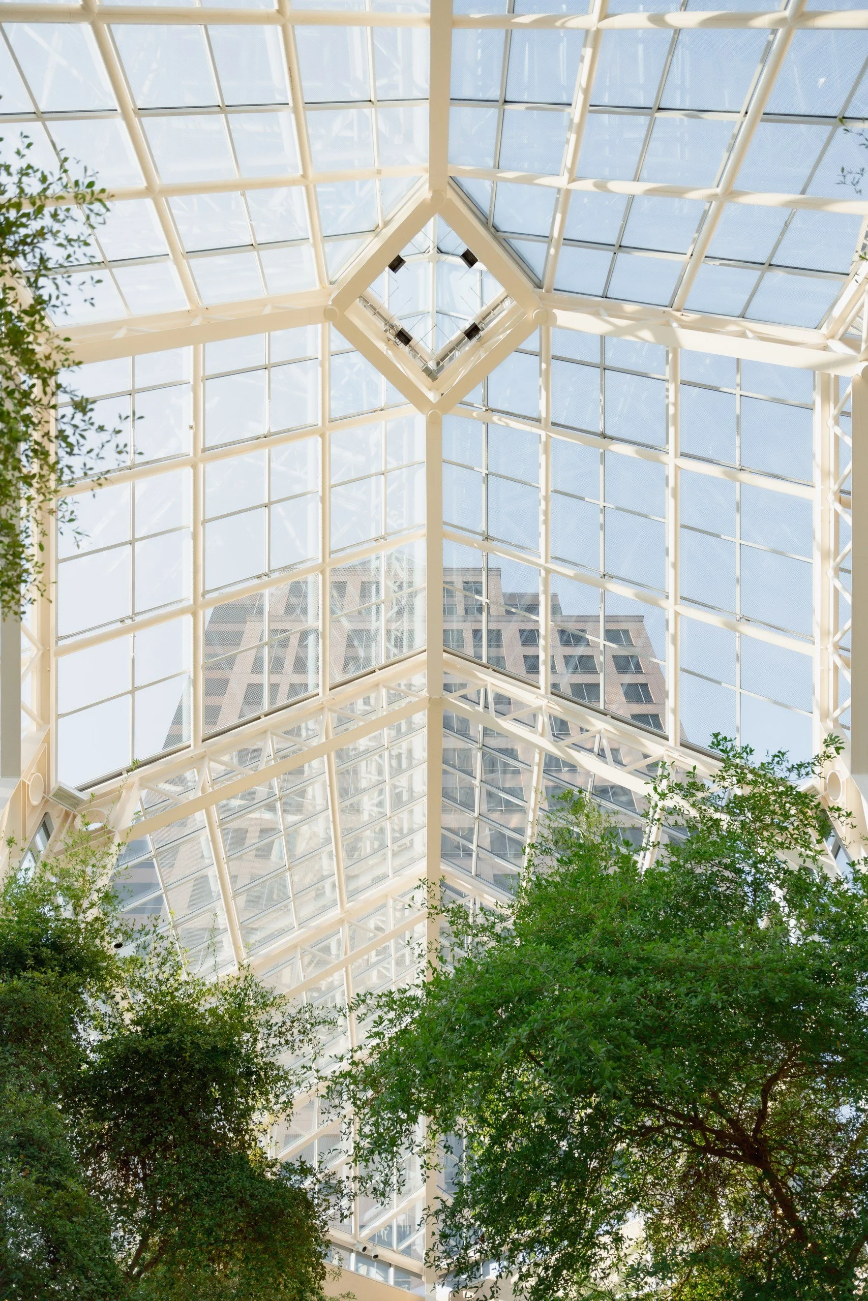 Looking up at a glass ceiling with a geometric design, surrounded by green trees indoors.