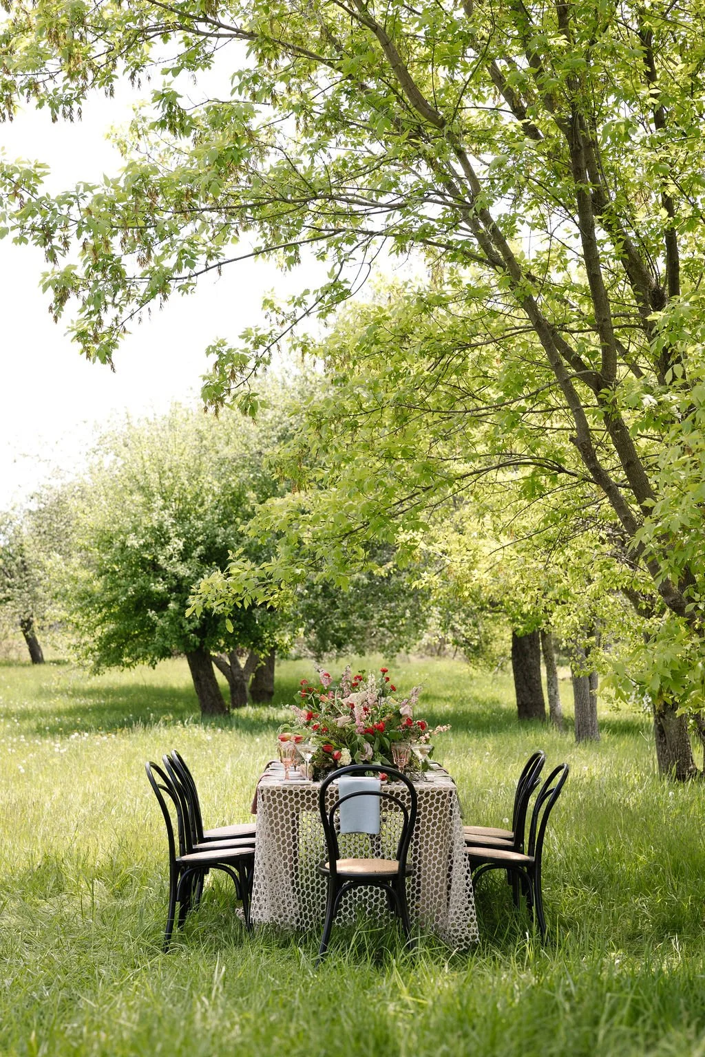 An outdoor dining table set with a floral centerpiece, surrounded by black chairs, underneath lush green trees on a bright, sunny day.