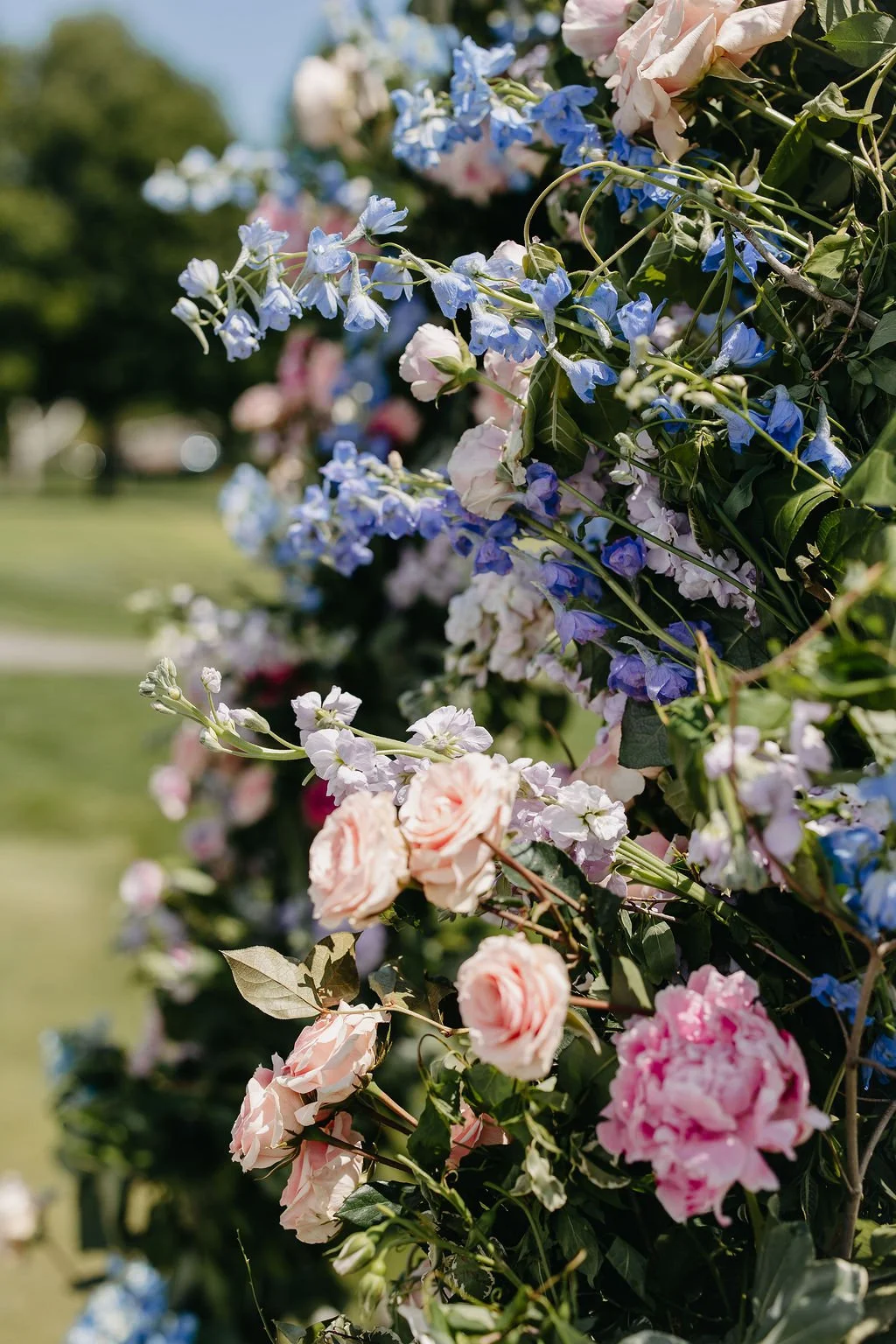 Close-up of a flowering hedge with pink, blue, and white flowers in a park setting on a sunny day.
