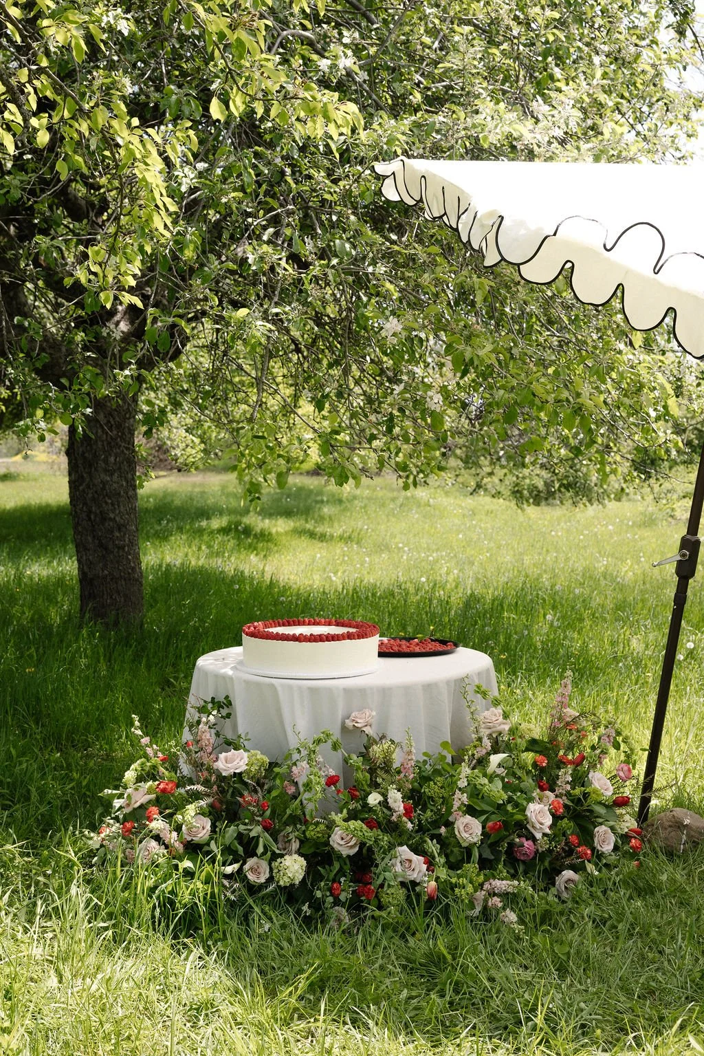 An outdoor celebration setup with a round white cake decorated with strawberries on a table, surrounded by flowers and greenery, under a tree with a white decorative canopy overhead.