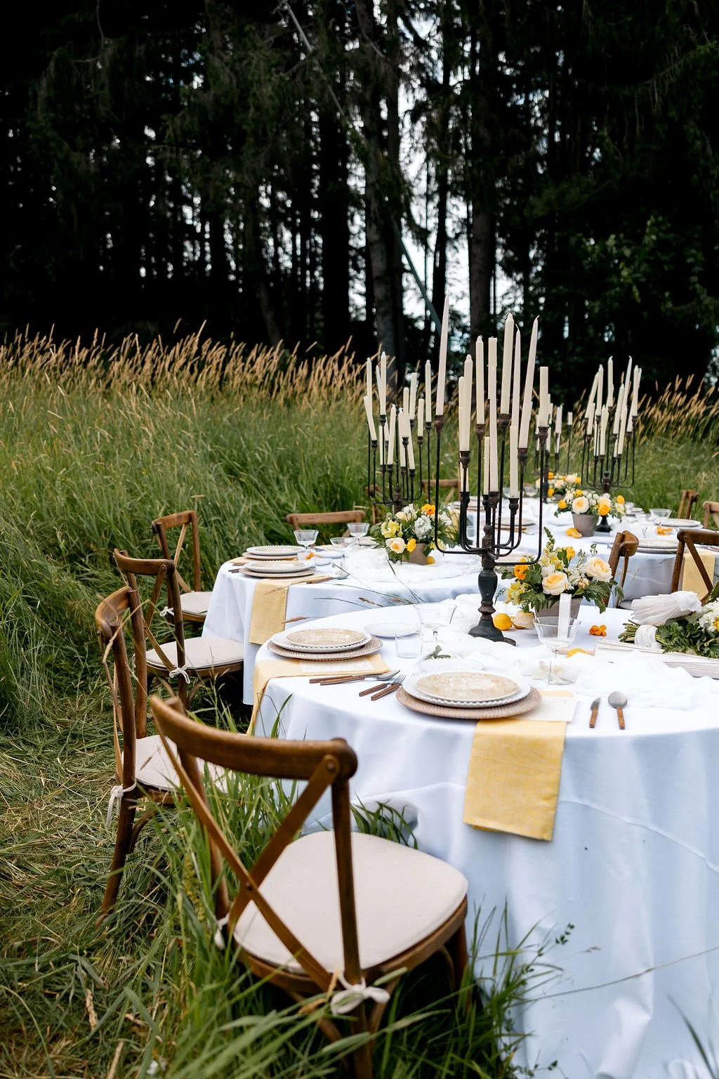 An outdoor banquet table set with white tablecloths, yellow napkins, floral centerpieces, placed in front of a grassy field and trees.